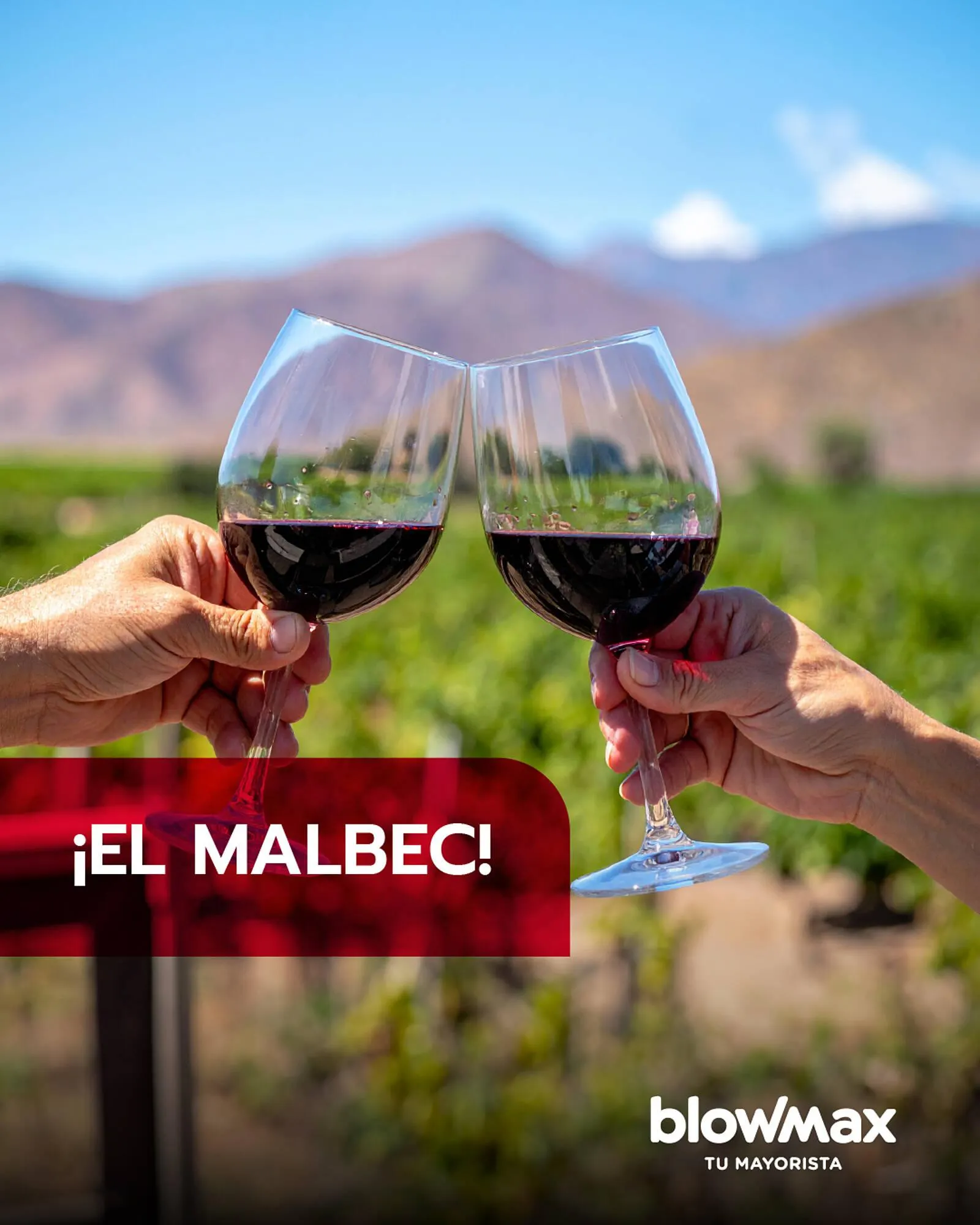 Ofertas de Catálogo Blow Max 9 de mayo al 15 de mayo 2025 - Página 2 del catálogo