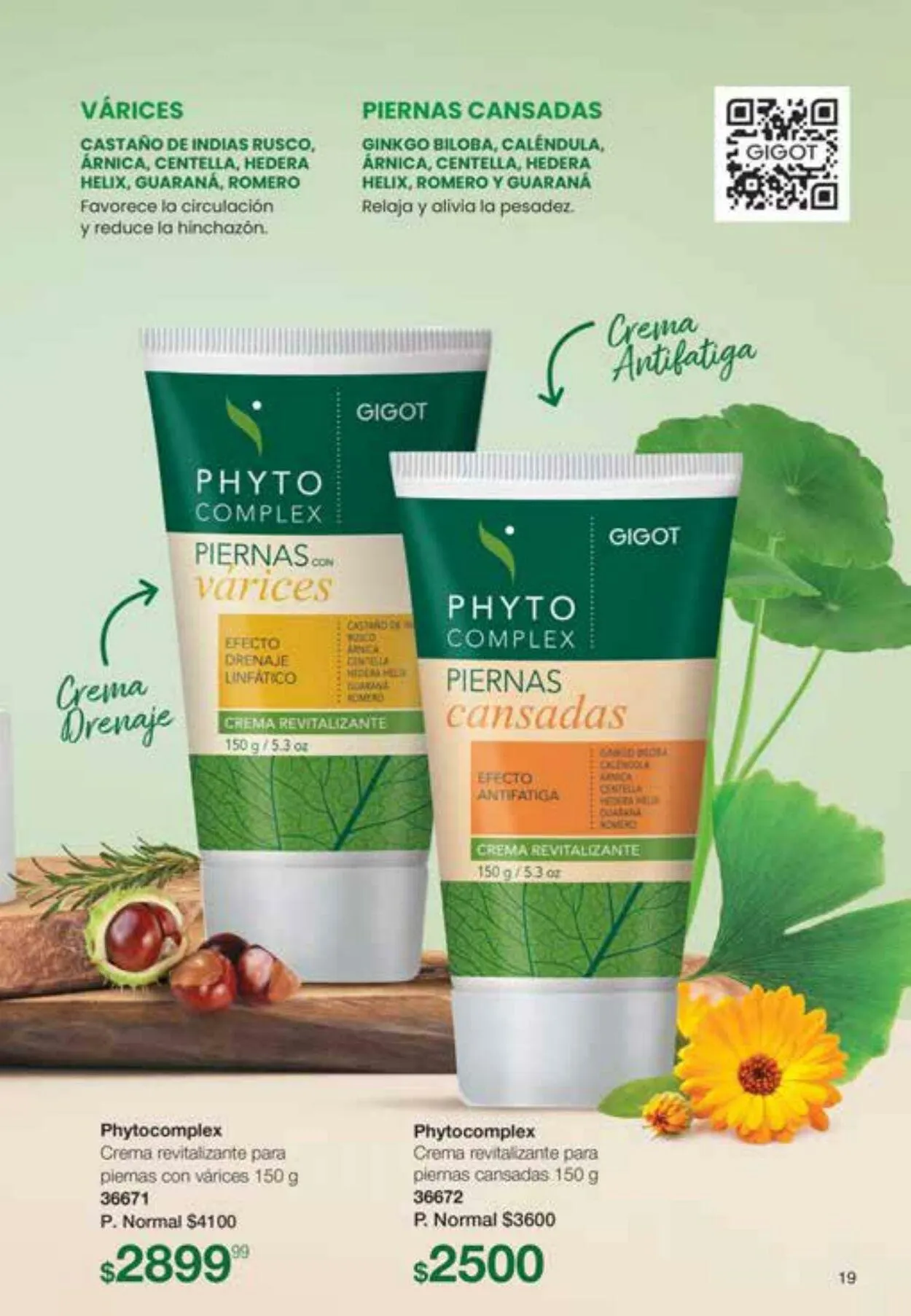 Ofertas de Gigot 6 de octubre al 31 de octubre 2023 - Página 19 del catálogo