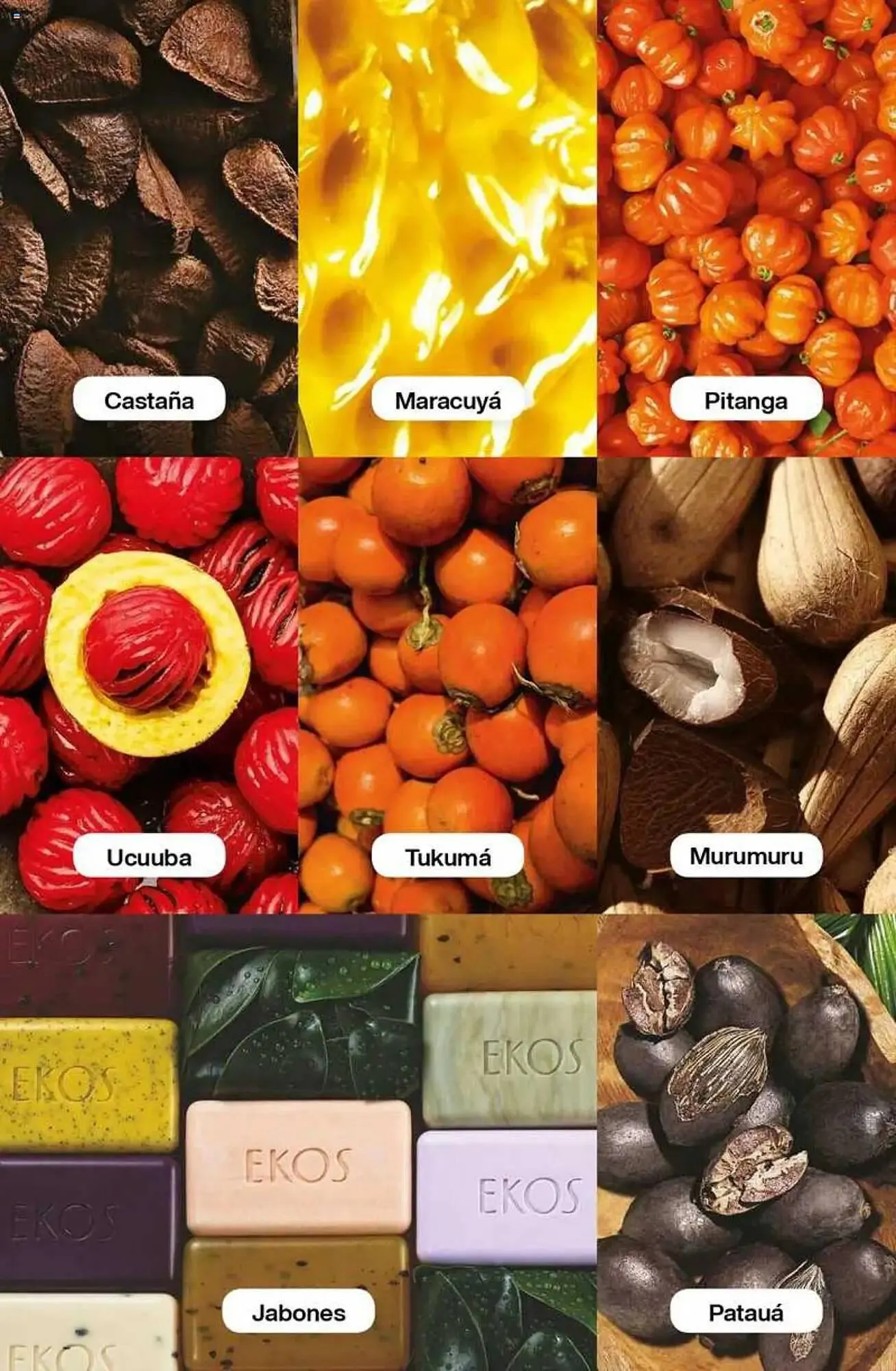 Ofertas de Catálogo Natura 5 de marzo al 18 de marzo 2025 - Página 444 del catálogo