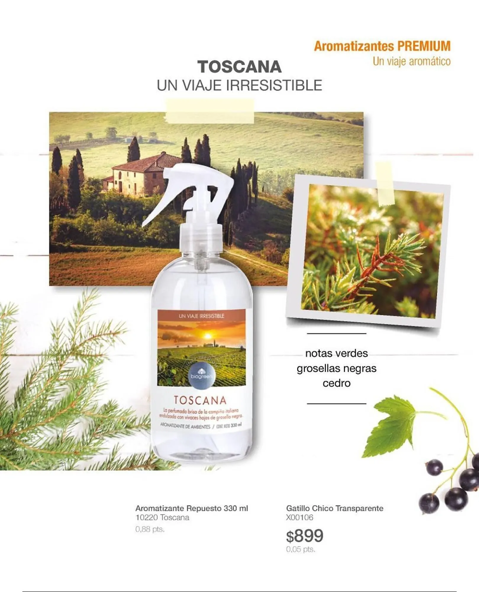 Ofertas de Catálogo Biogreen 16 de febrero al 1 de marzo 2026 - Página 47 del catálogo