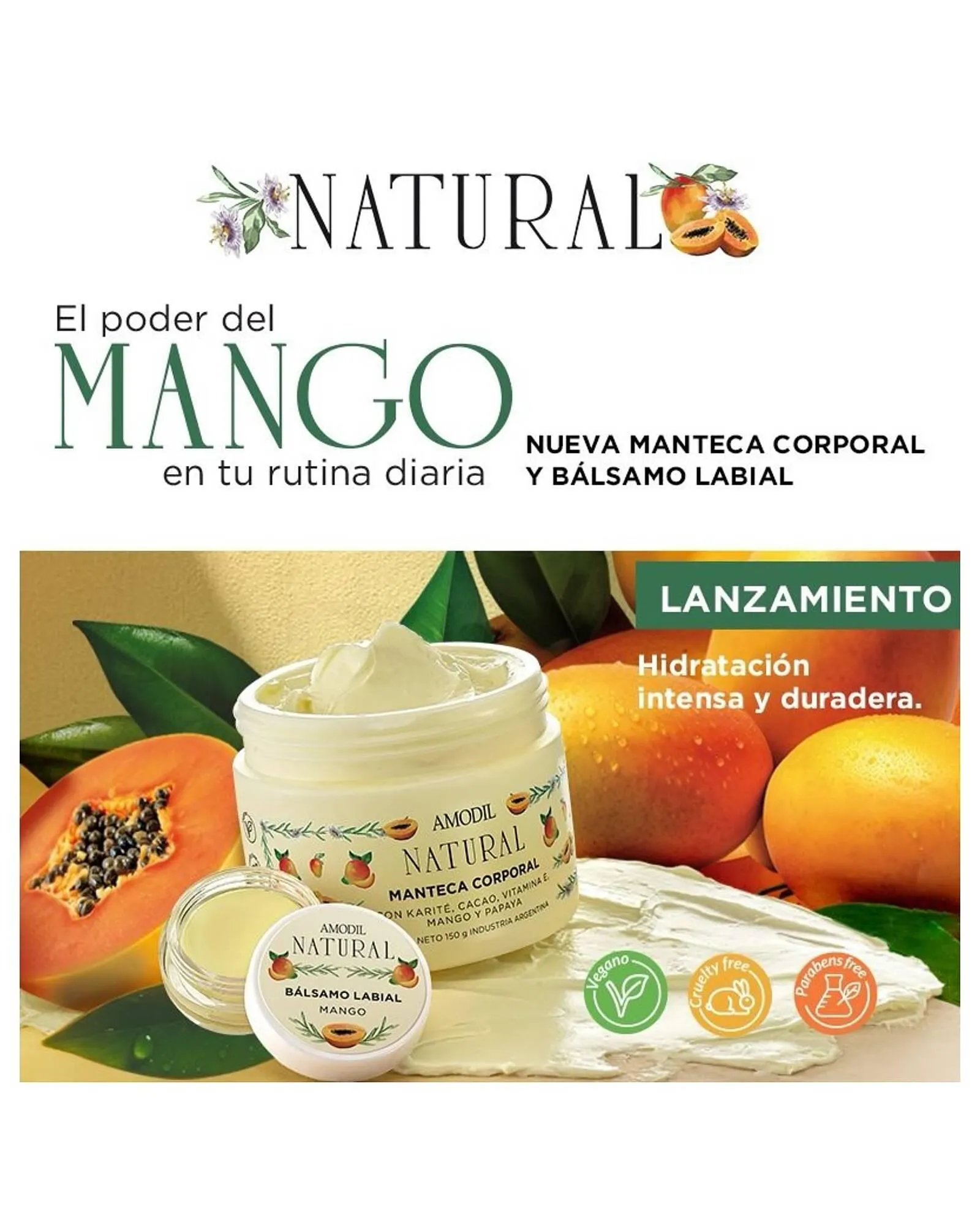 Ofertas de Catálogo Amodil 18 de marzo al 31 de marzo 2025 - Página 2 del catálogo