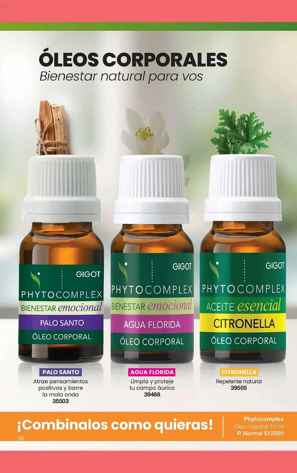 Ofertas de Folleto Gigot 1 de noviembre al 1 de diciembre 2025 - Página 72 del catálogo