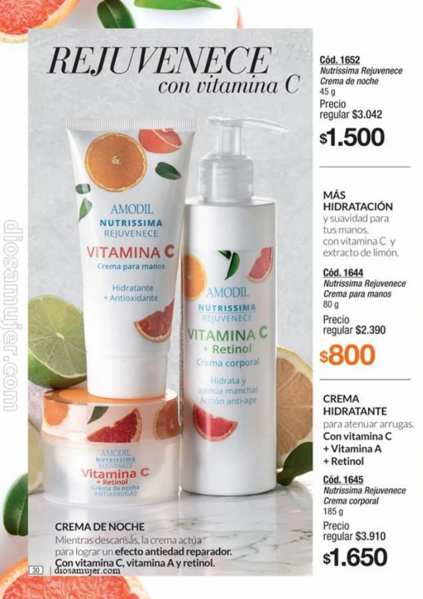 Ofertas de Catálogo Amodil 6 de septiembre al 10 de octubre 2023 - Página 30 del catálogo