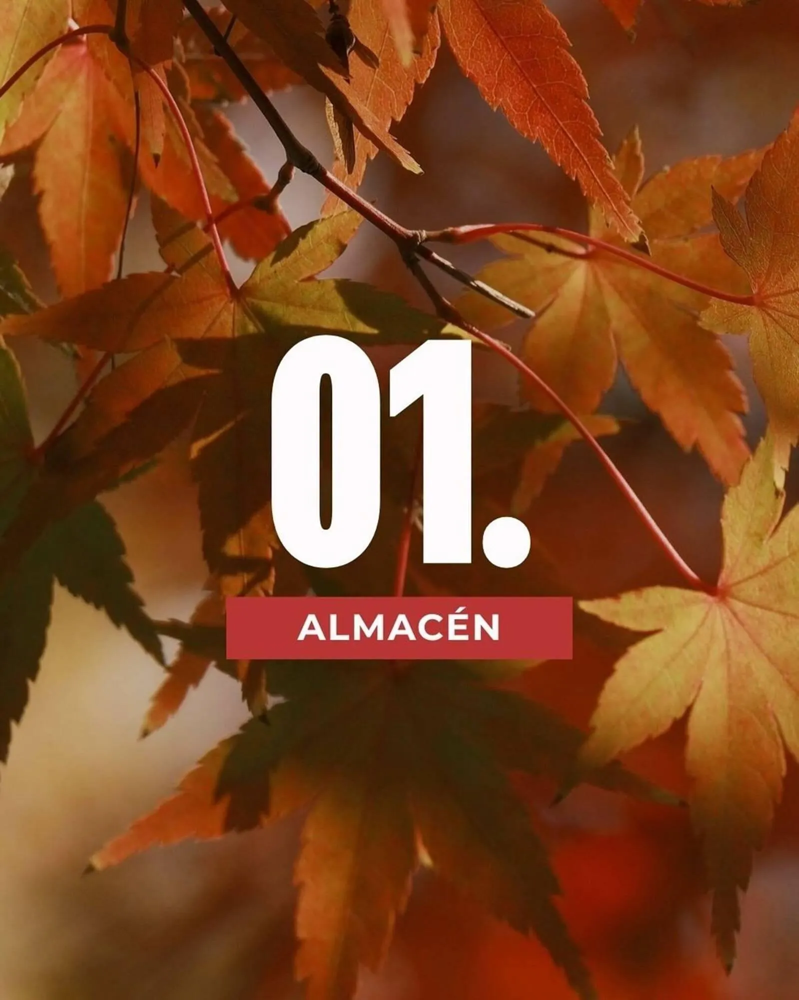 Ofertas de Catálogo Supermercados Zeta 1 de septiembre al 30 de noviembre 2026 - Página 2 del catálogo