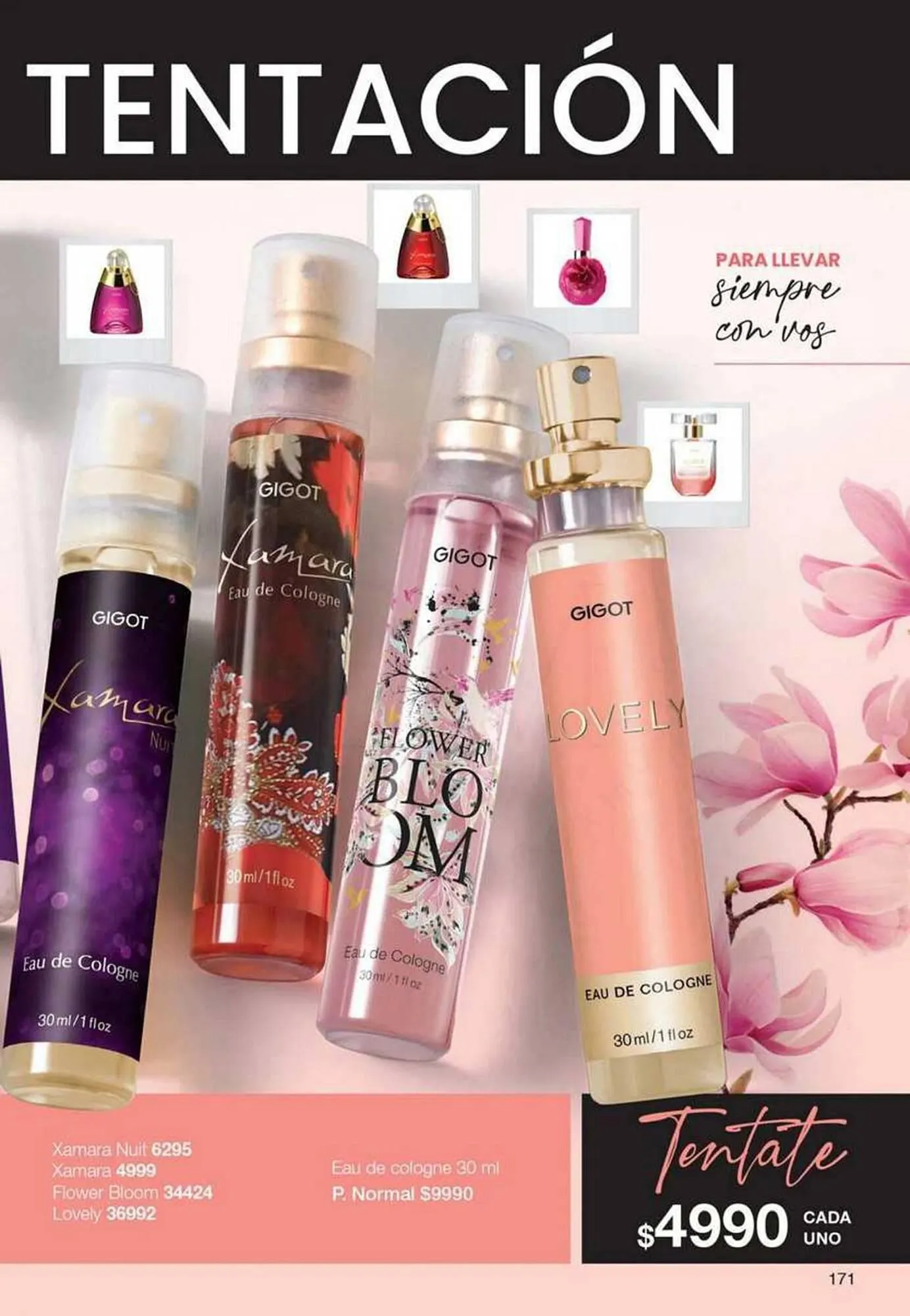 Ofertas de Catálogo Gigot 30 de abril al 31 de mayo 2025 - Página 171 del catálogo