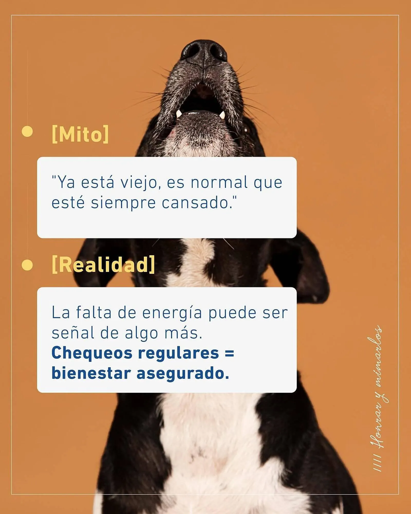 Ofertas de Catálogo Puppis 1 de agosto al 2 de agosto 2025 - Página 2 del catálogo