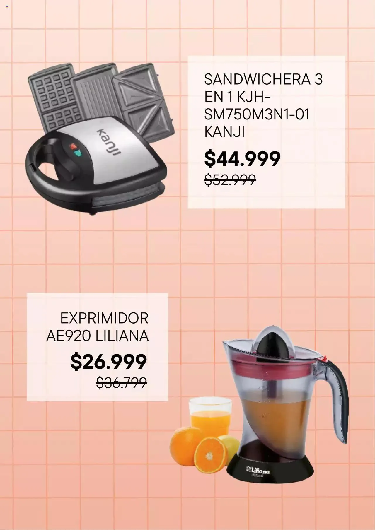 Ofertas de Ribeiro catálogo 29 de junio al 31 de diciembre 2024 - Página 3 del catálogo