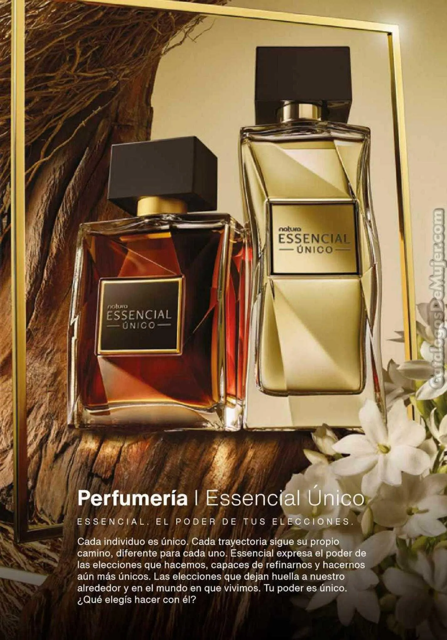 Ofertas de Catálogo Natura 3 de agosto al 30 de septiembre 2023 - Página 15 del catálogo