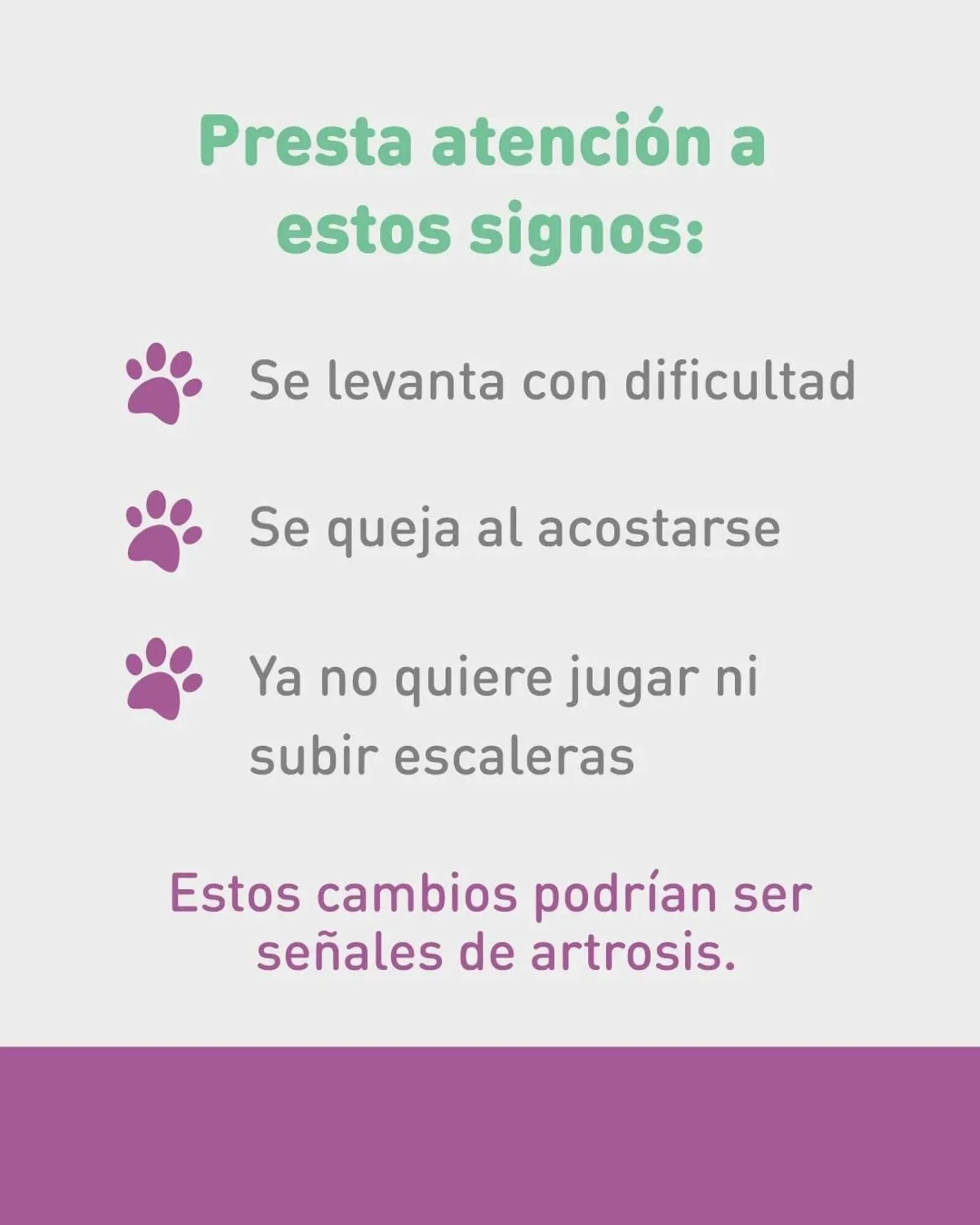 Ofertas de Catálogo Puppis 6 de mayo al 8 de mayo 2025 - Página 2 del catálogo