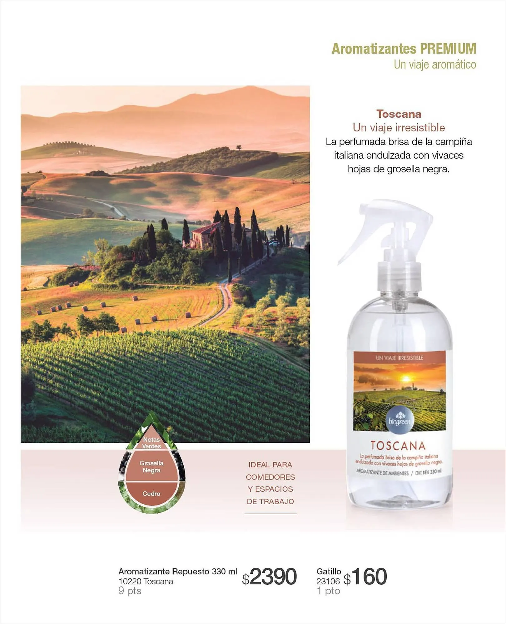 Ofertas de Catálogo Biogreen 27 de julio al 30 de julio 2023 - Página 47 del catálogo