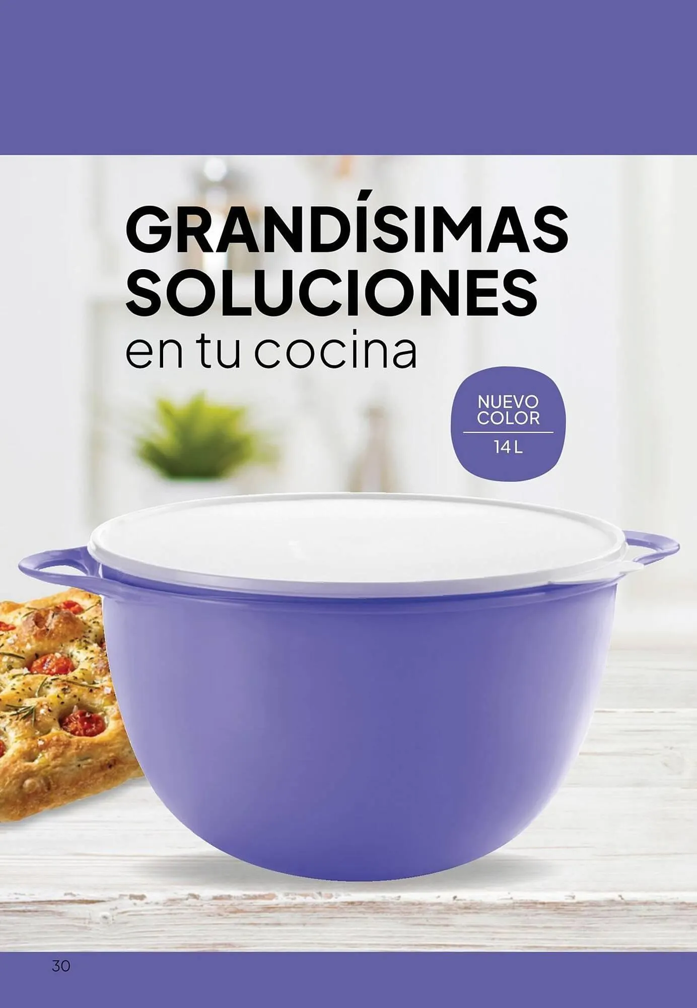 Ofertas de Folleto Tupperware 1 de julio al 31 de julio 2026 - Página 31 del catálogo
