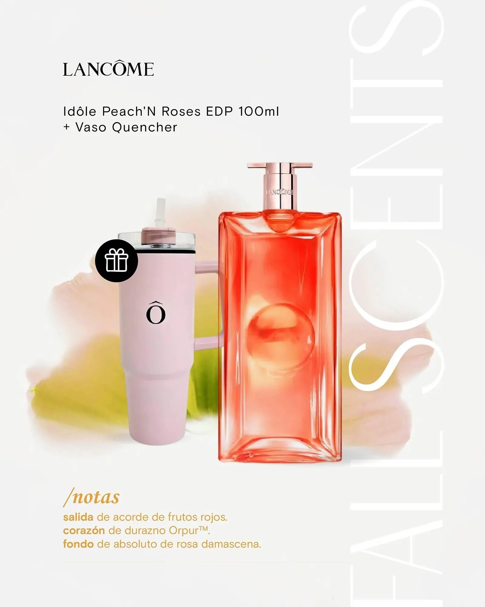 Ofertas de Catálogo Perfumerías Rouge 20 de abril al 30 de abril 2026 - Página 2 del catálogo