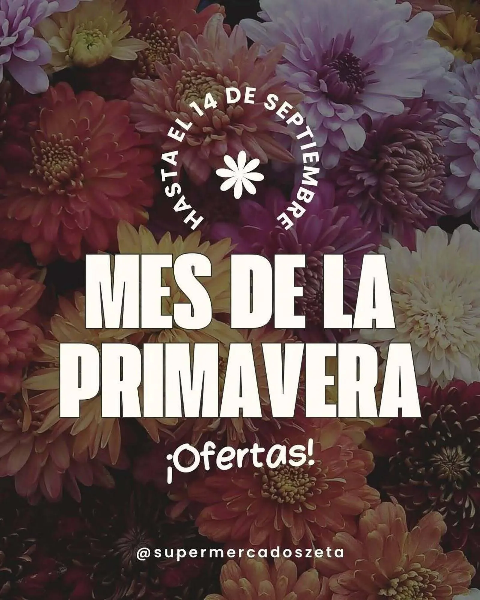 catálogo Supermercados Zeta - 1