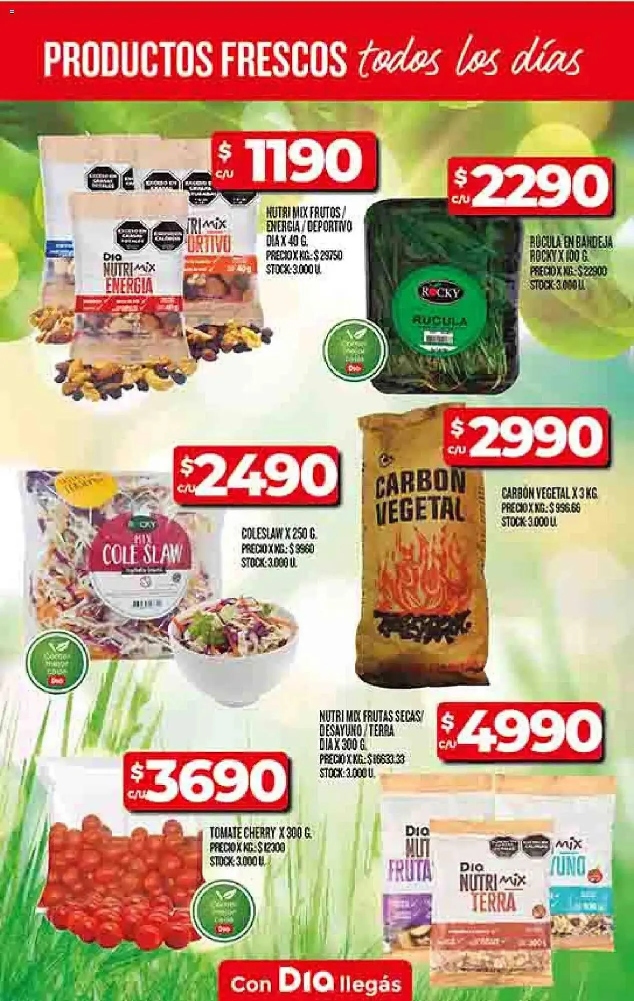 Ofertas de Catálogo Supermercados DIA 4 de junio al 9 de junio 2025 - Página 8 del catálogo