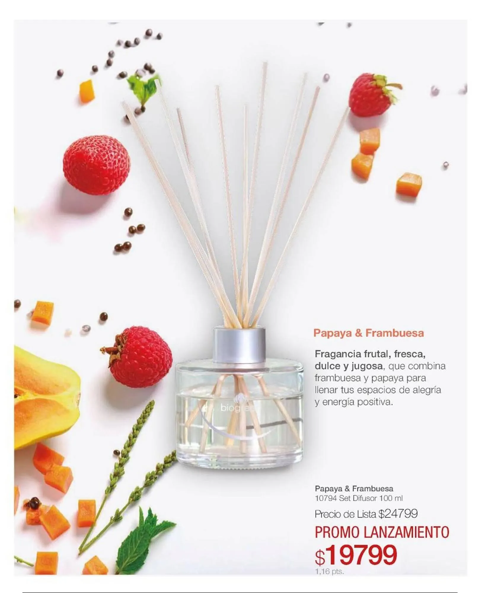 Ofertas de Catálogo Biogreen 30 de enero al 30 de abril 2026 - Página 4 del catálogo