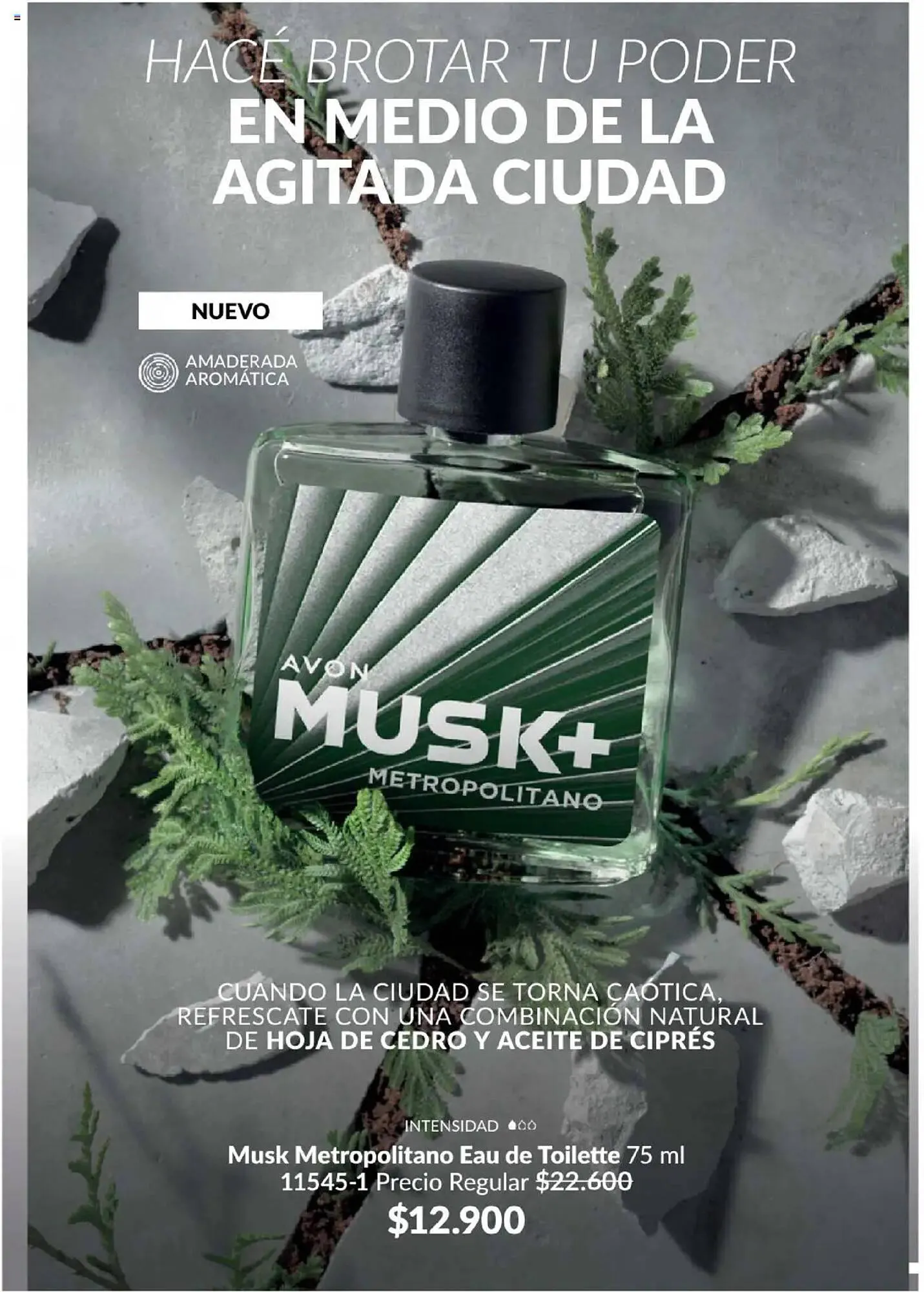 Ofertas de Catálogo Avon 27 de marzo al 27 de abril 2025 - Página 272 del catálogo