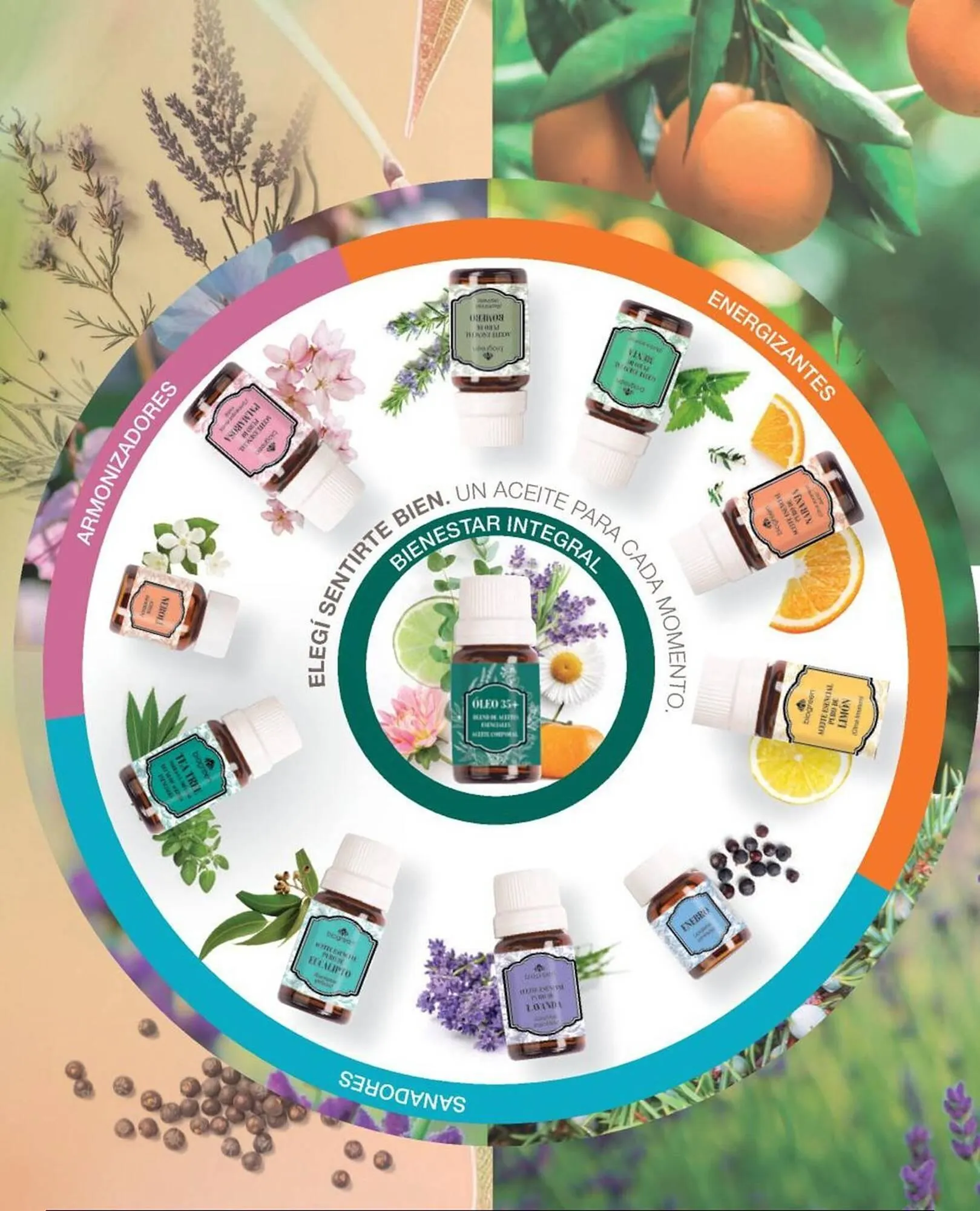 Ofertas de Catálogo Biogreen 4 de noviembre al 30 de noviembre 2025 - Página 100 del catálogo