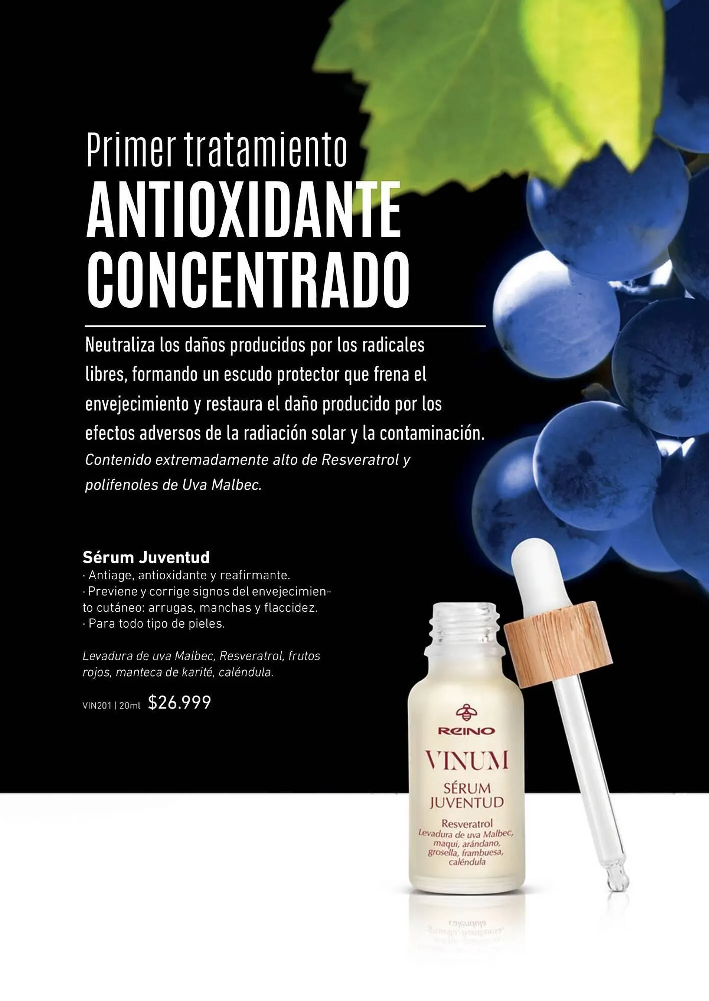 Ofertas de Catálogo Reino Cosmética 8 de mayo al 31 de mayo 2025 - Página 38 del catálogo