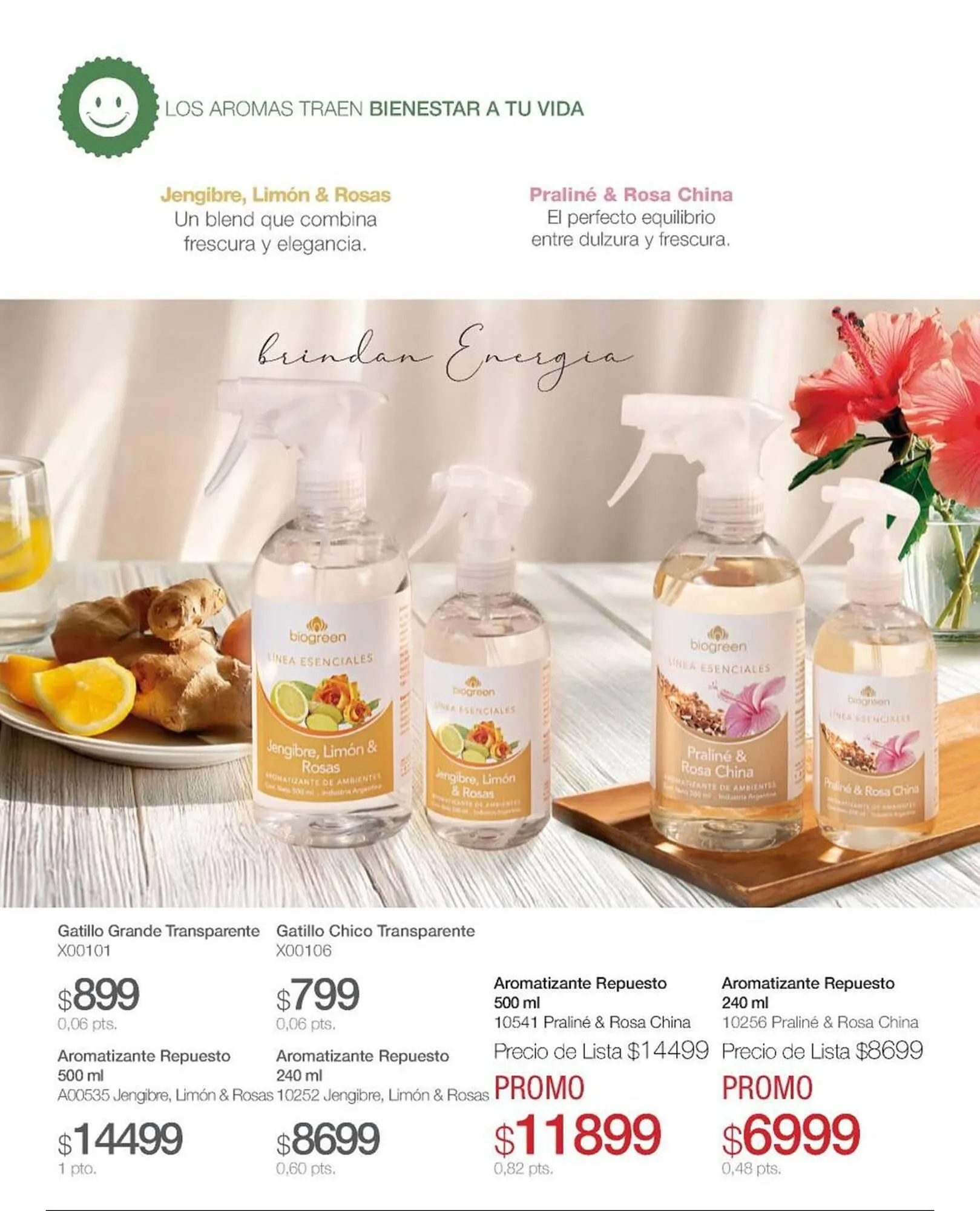 Ofertas de Catálogo Biogreen 15 de mayo al 31 de mayo 2025 - Página 28 del catálogo