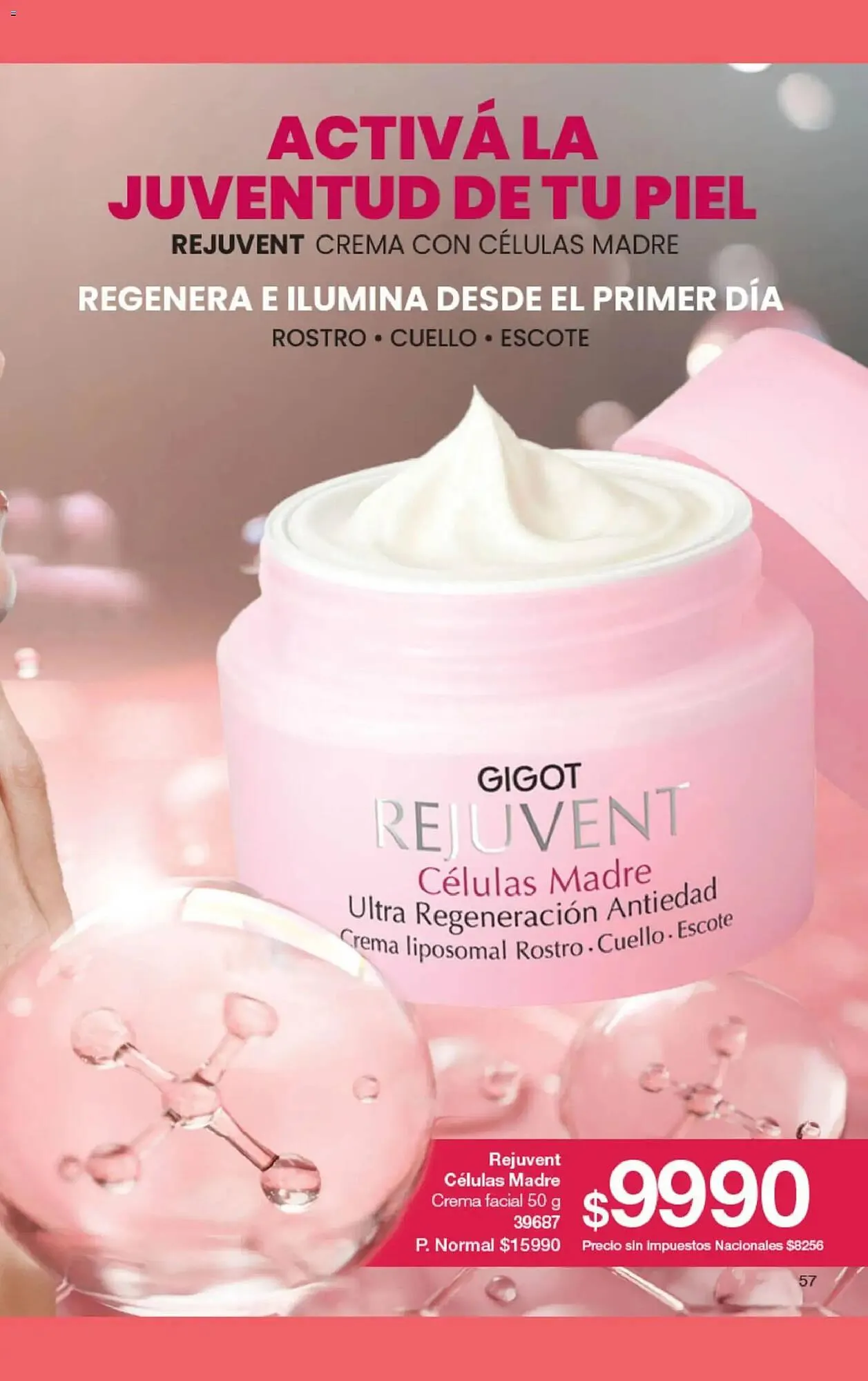 Ofertas de Folleto Gigot 1 de febrero al 1 de marzo 2026 - Página 69 del catálogo