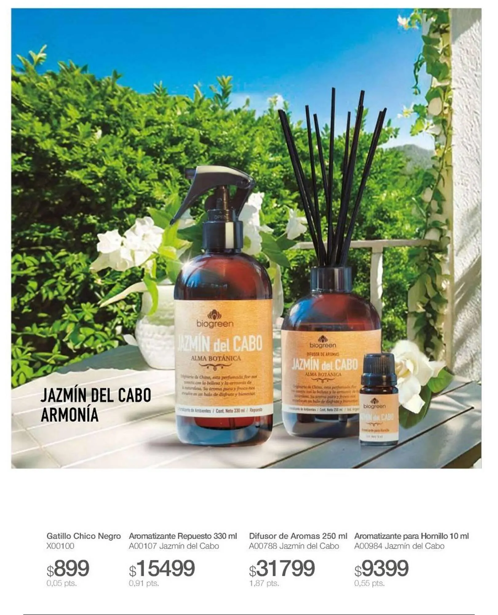 Ofertas de Catálogo Biogreen 30 de enero al 30 de abril 2026 - Página 33 del catálogo