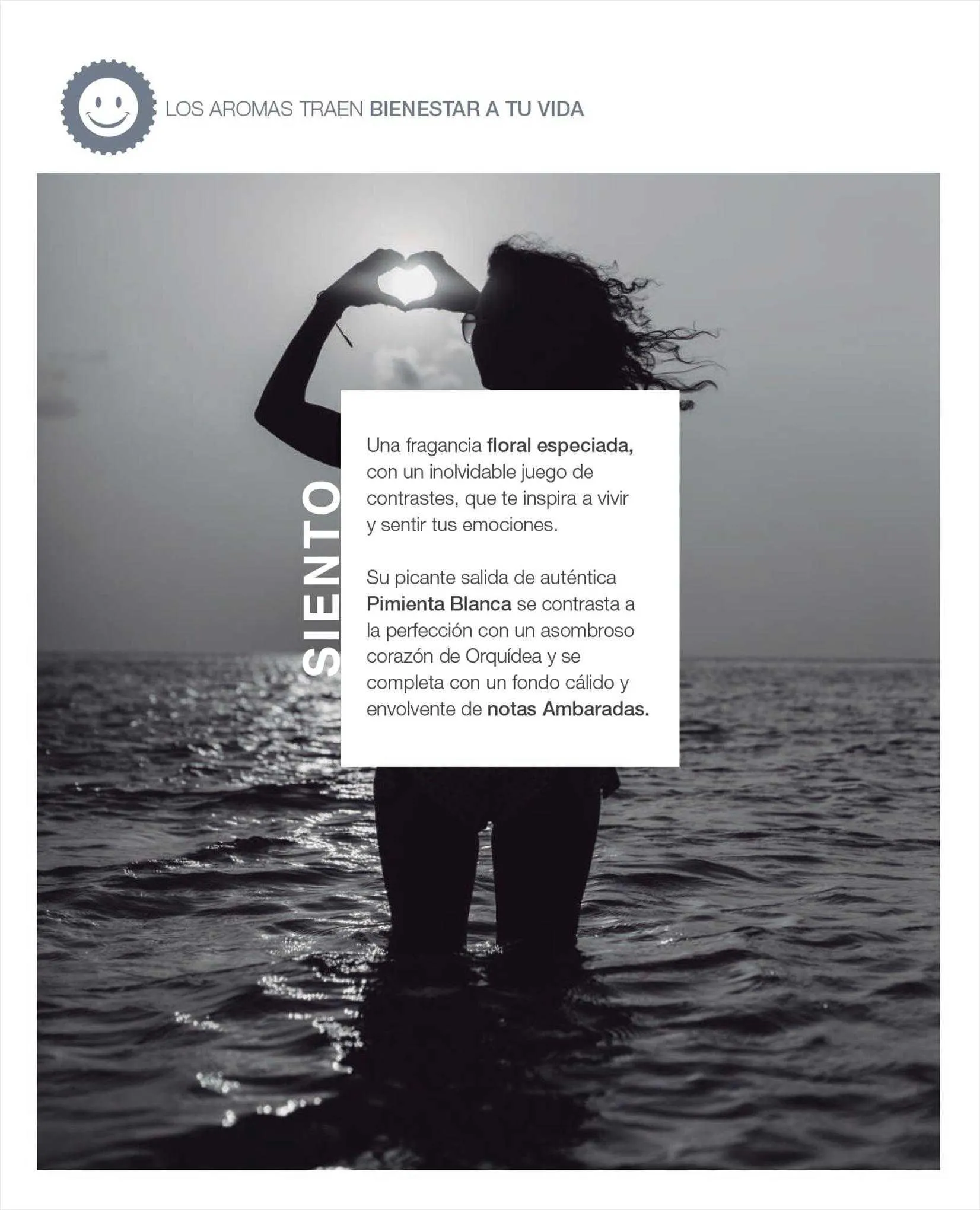 Ofertas de Catálogo Biogreen 7 de julio al 30 de septiembre 2023 - Página 96 del catálogo