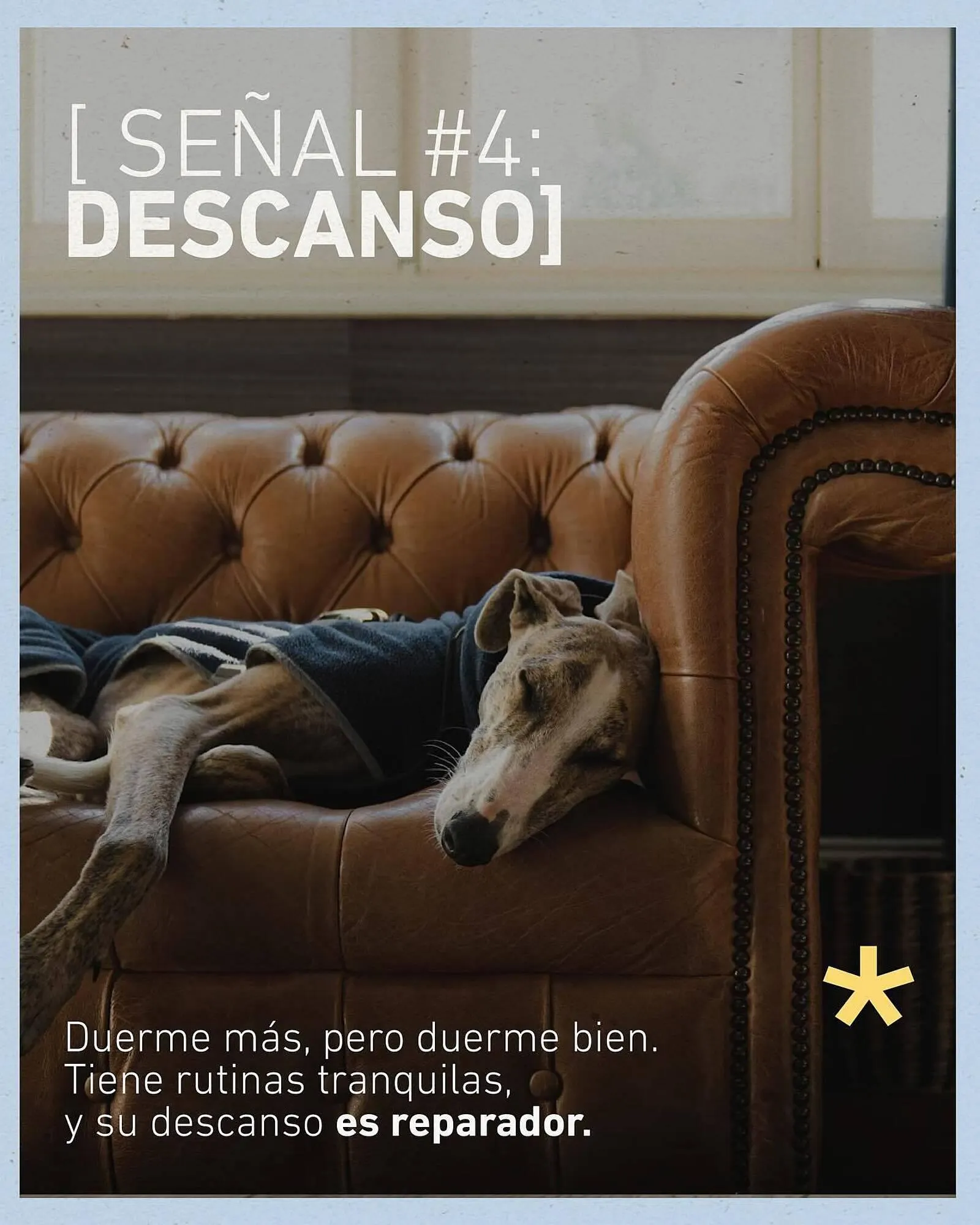 Ofertas de Catálogo Puppis 11 de junio al 15 de junio 2025 - Página 5 del catálogo