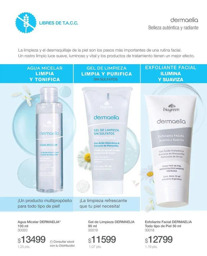 Ofertas de Catálogo Perfumes Biogreen Julio  23 de julio al 31 de julio 2024 - Página 61 del catálogo