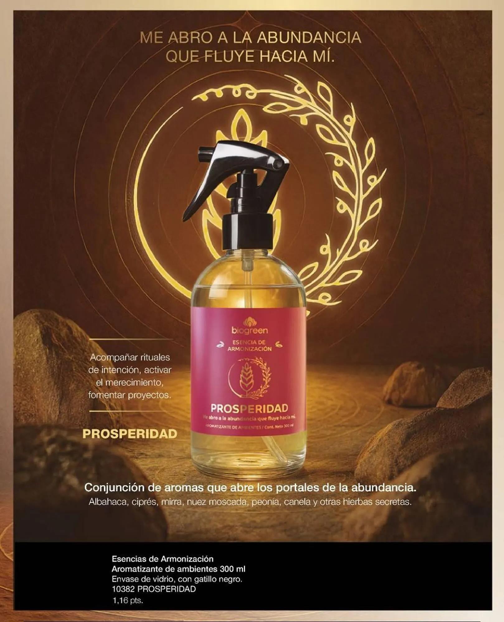 Ofertas de Catálogo Biogreen 16 de febrero al 1 de marzo 2026 - Página 26 del catálogo