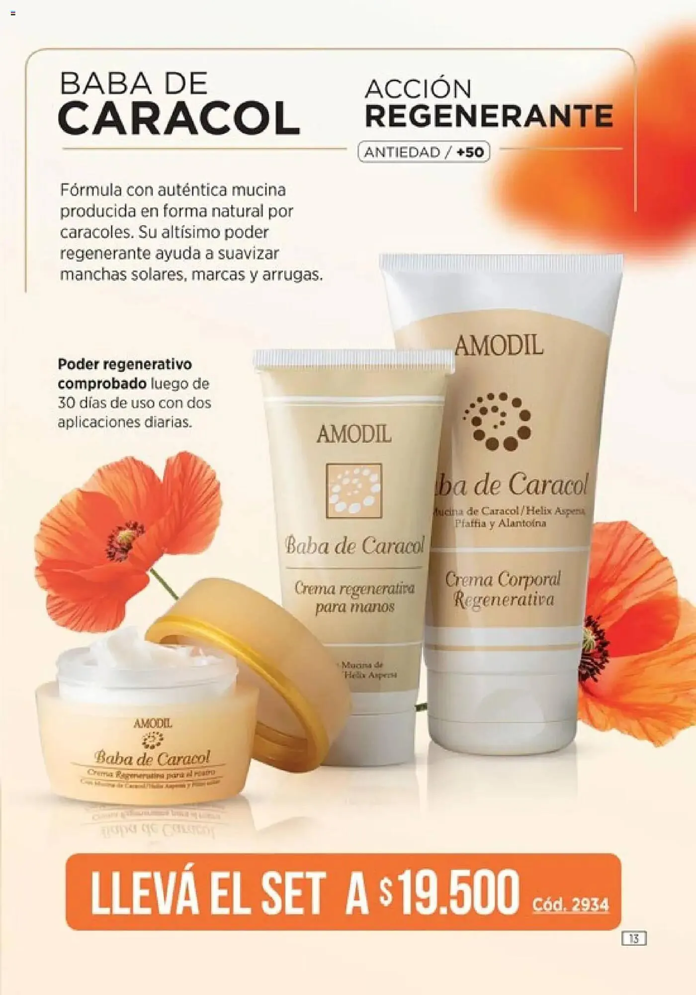 Ofertas de Catálogo Amodil 18 de julio al 31 de julio 2025 - Página 13 del catálogo