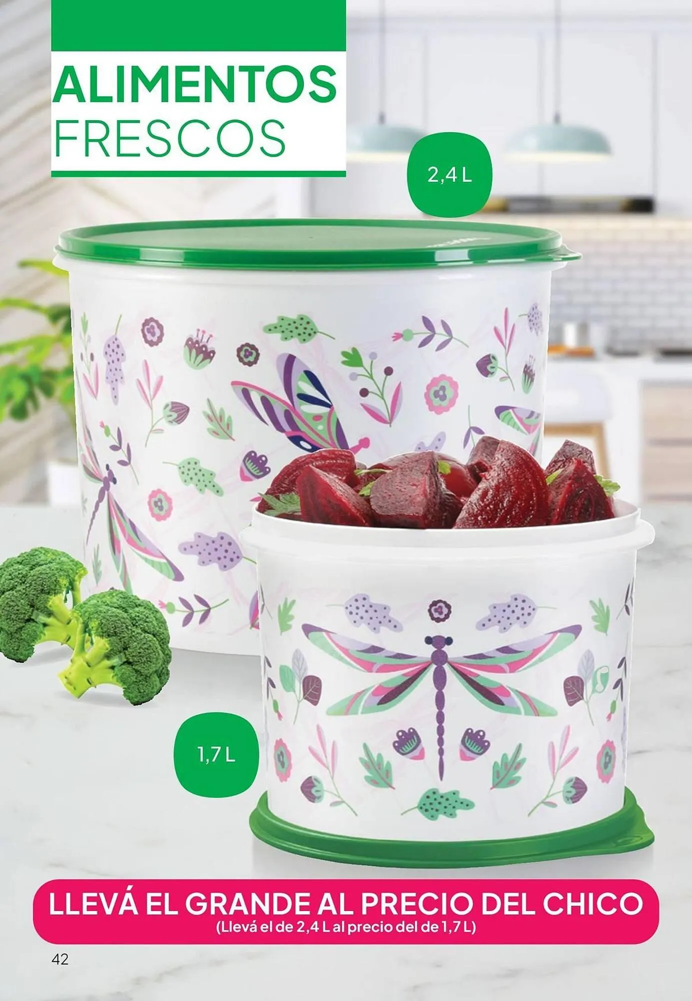 Ofertas de Folleto Tupperware 1 de enero al 31 de enero 2026 - Página 43 del catálogo