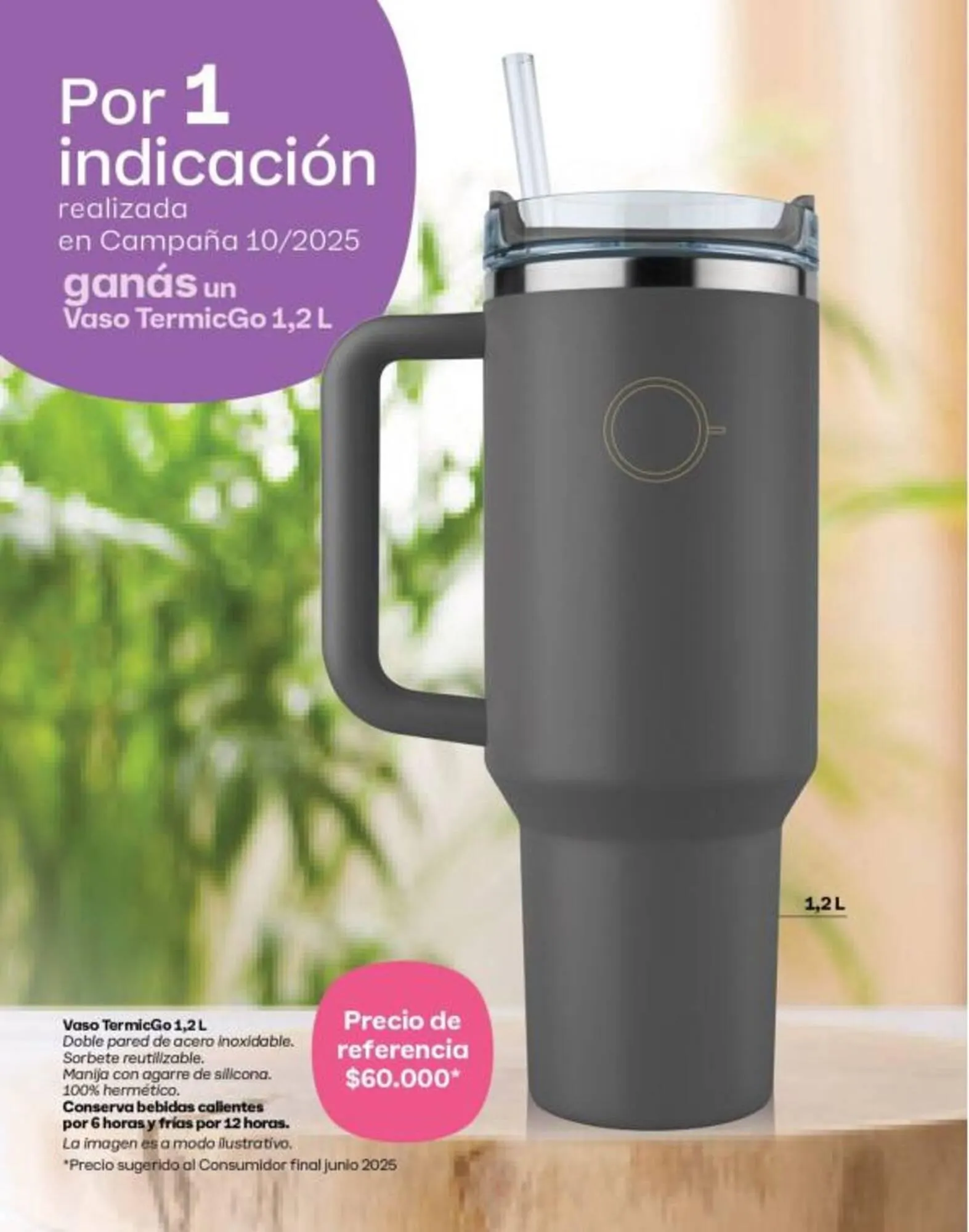 Ofertas de Folleto Tupperware 1 de octubre al 31 de octubre 2025 - Página 2 del catálogo