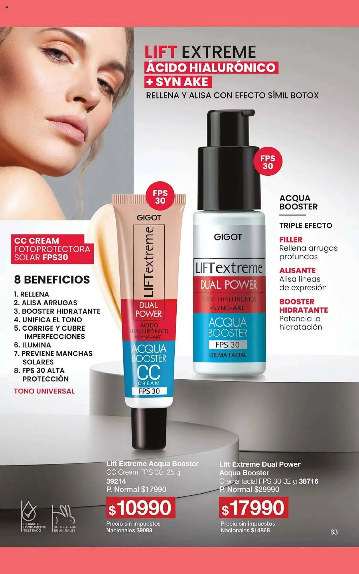 Ofertas de Folleto Gigot 1 de noviembre al 1 de diciembre 2025 - Página 69 del catálogo