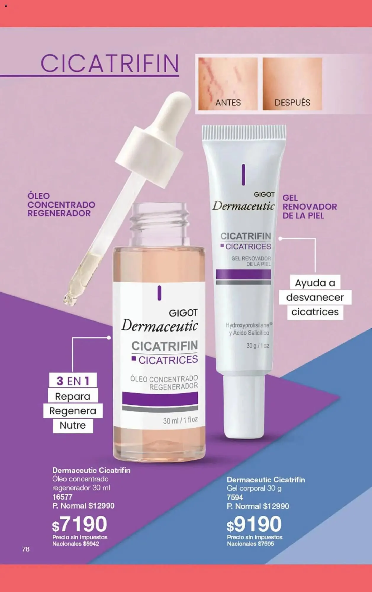 Ofertas de Folleto Gigot 1 de febrero al 1 de marzo 2026 - Página 82 del catálogo