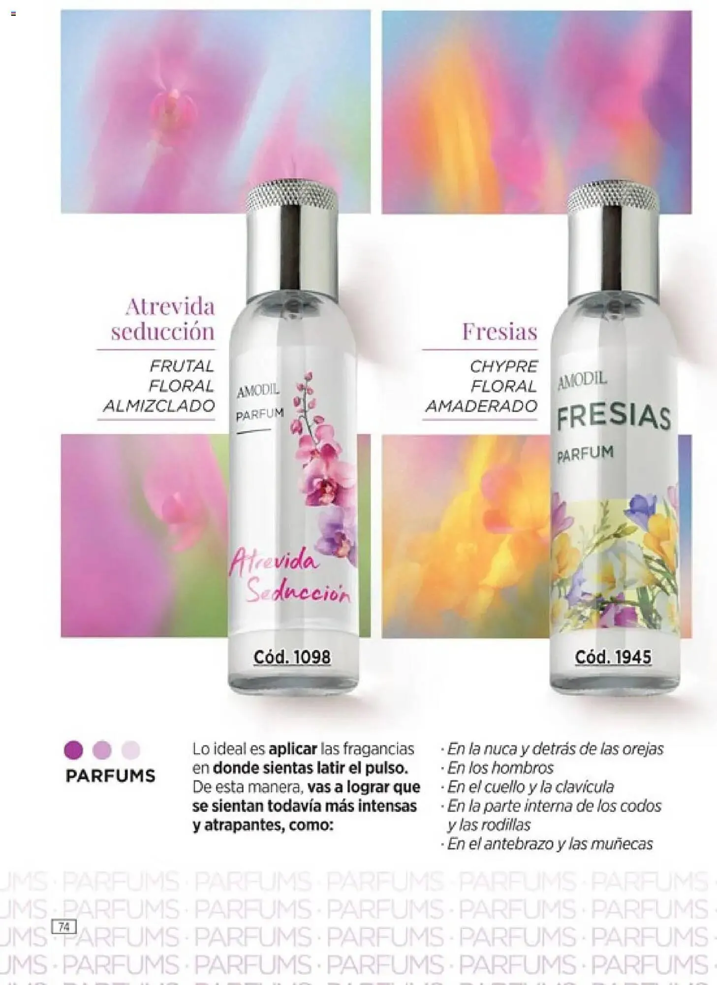 Ofertas de Catálogo Amodil 13 de junio al 27 de junio 2025 - Página 76 del catálogo