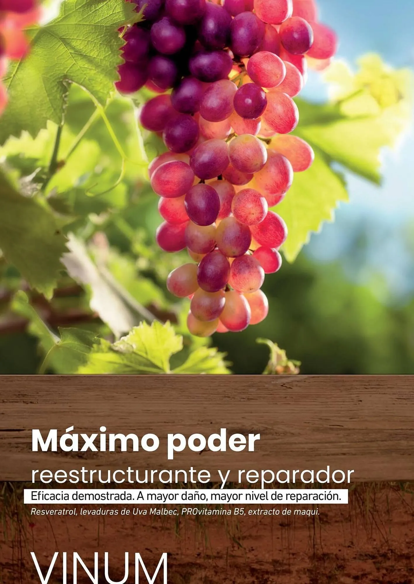 Ofertas de Catálogo Reino Cosmética 9 de abril al 22 de abril 2025 - Página 36 del catálogo