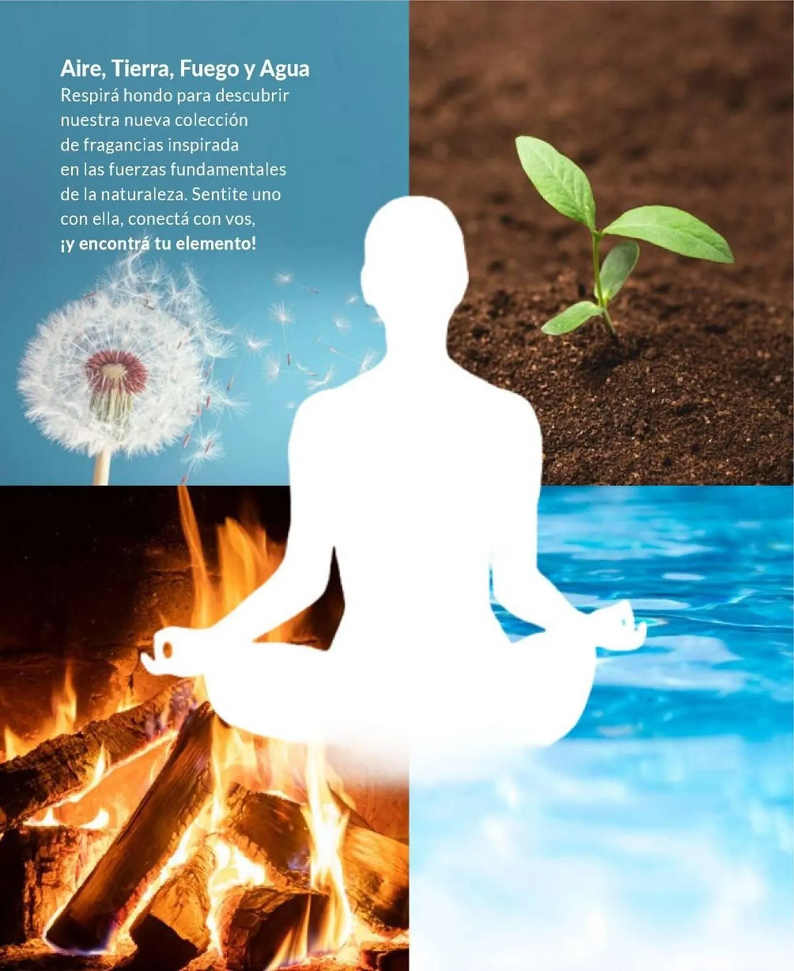 Ofertas de Catálogo Bagués 20 de octubre al 3 de noviembre 2024 - Página 41 del catálogo