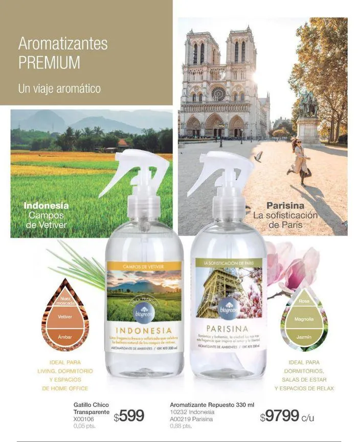 Ofertas de Catálogo de productos Biogreen! 27 de agosto al 11 de septiembre 2024 - Página 22 del catálogo