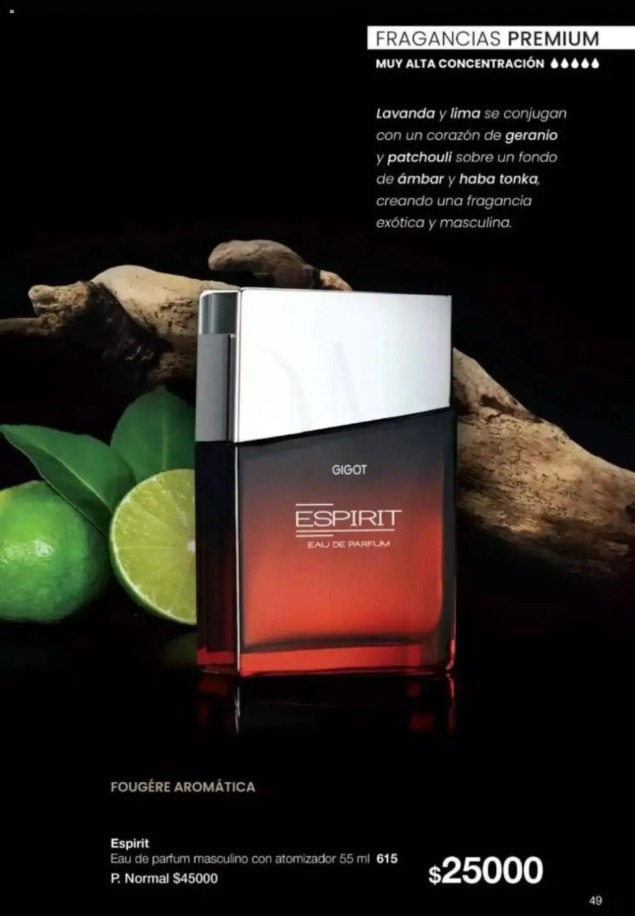 Ofertas de Gigot catálogo 2 de abril al 31 de diciembre 2024 - Página 49 del catálogo