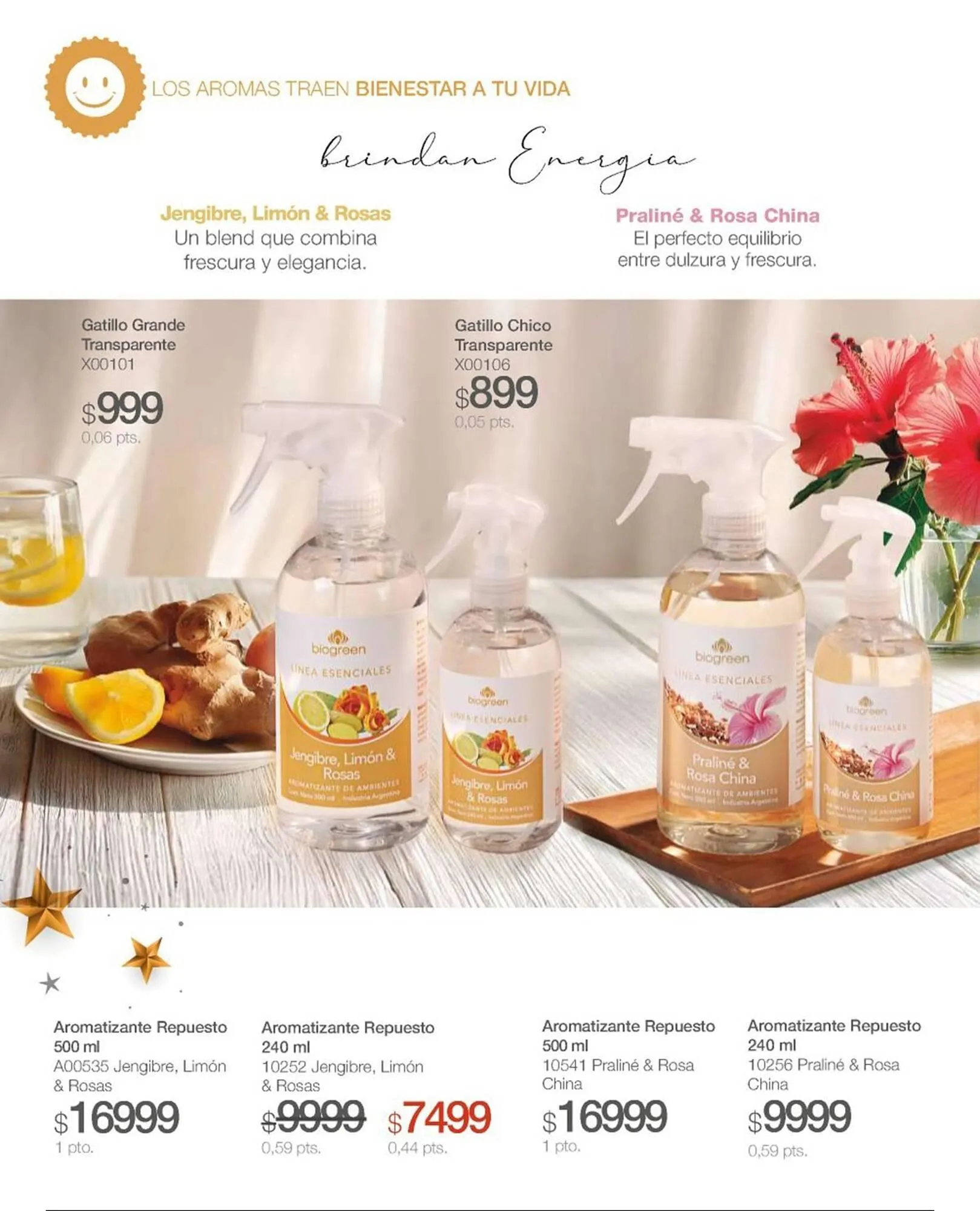 Ofertas de Catálogo Biogreen 30 de enero al 30 de abril 2026 - Página 13 del catálogo