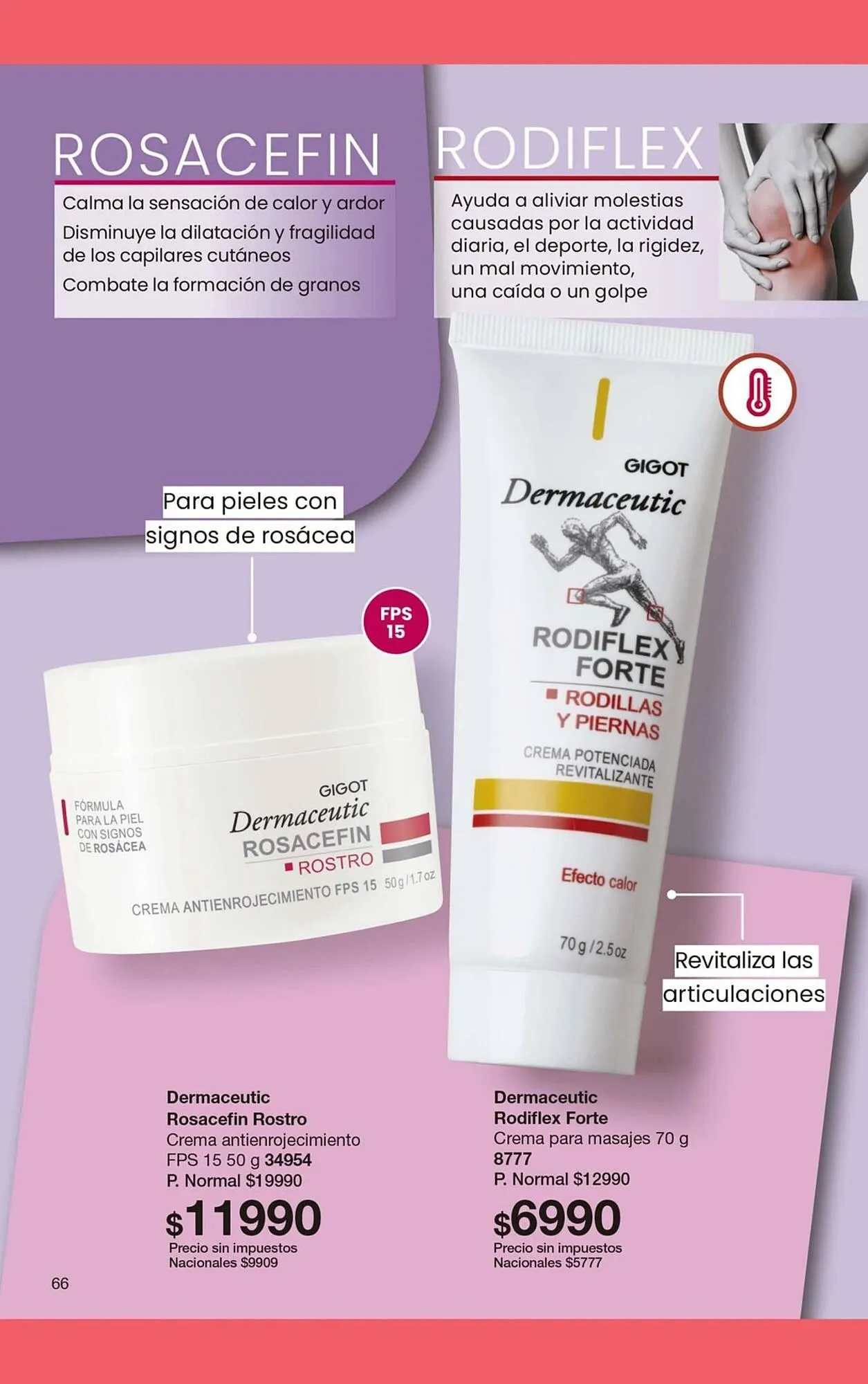 Ofertas de Folleto Gigot 6 de marzo al 30 de abril 2026 - Página 79 del catálogo