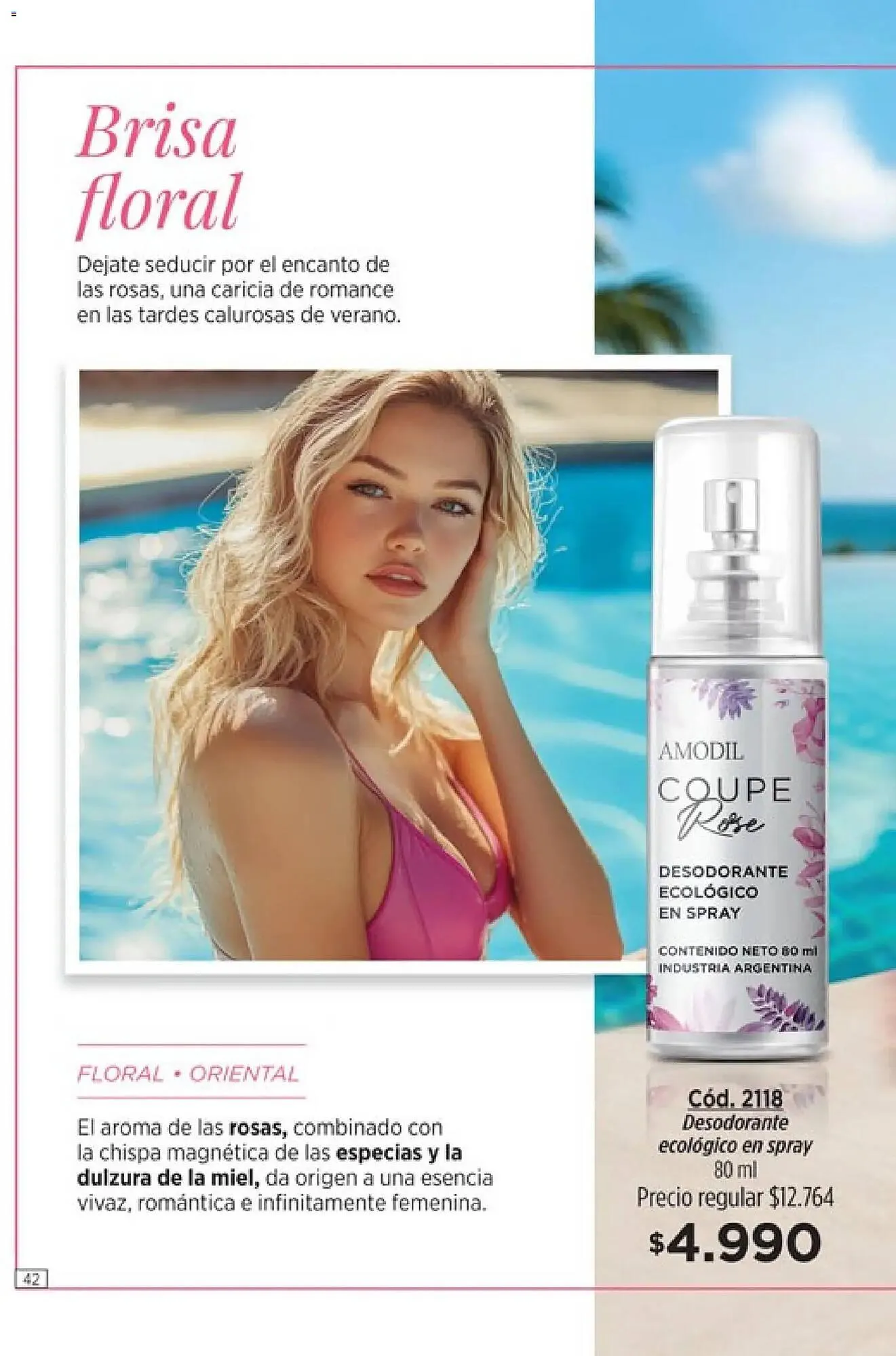 Ofertas de Catálogo Amodil 1 de enero al 1 de febrero 2026 - Página 42 del catálogo