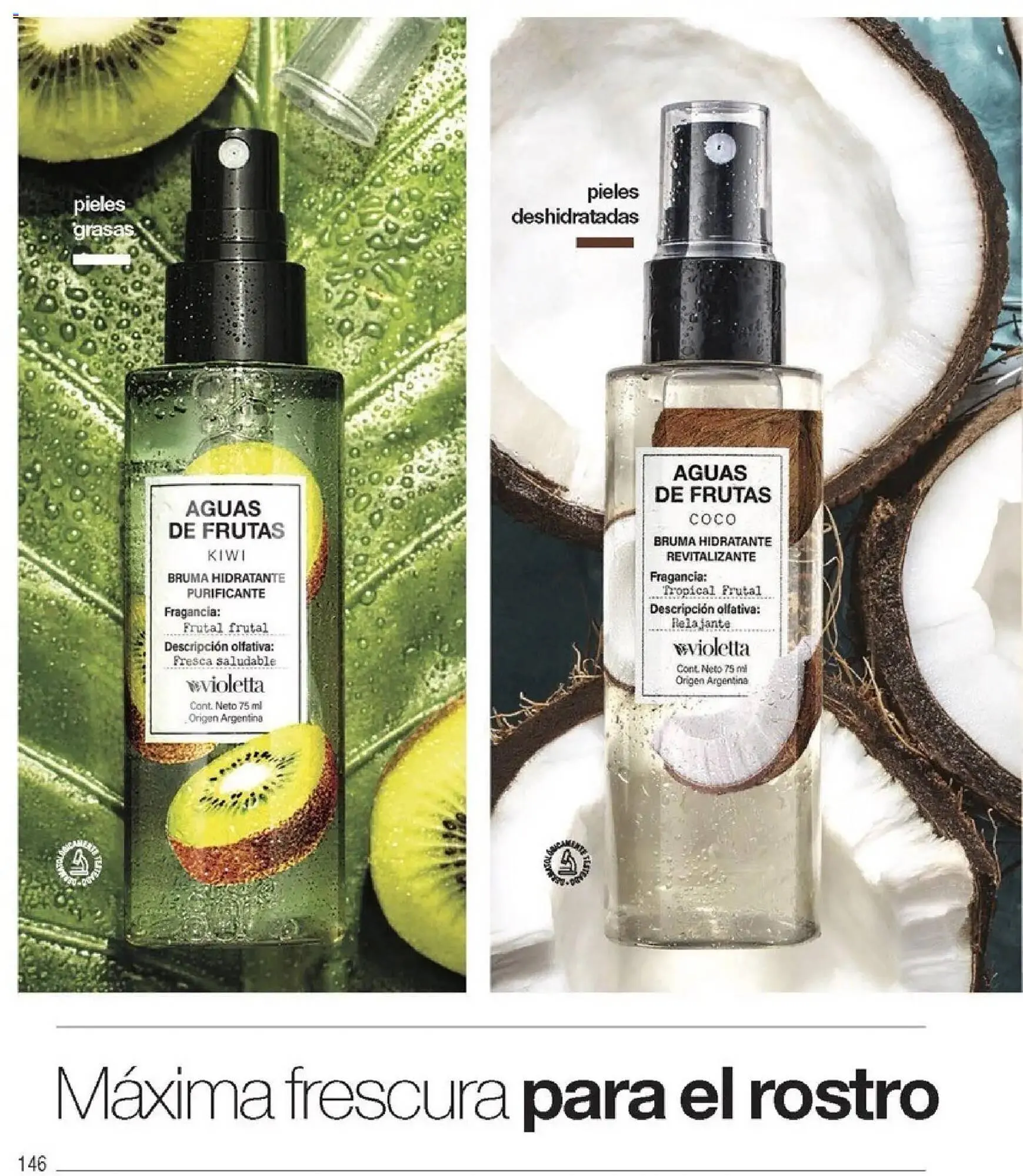 Ofertas de Catálogo Violetta Cosméticos 20 de noviembre al 1 de enero 2026 - Página 146 del catálogo