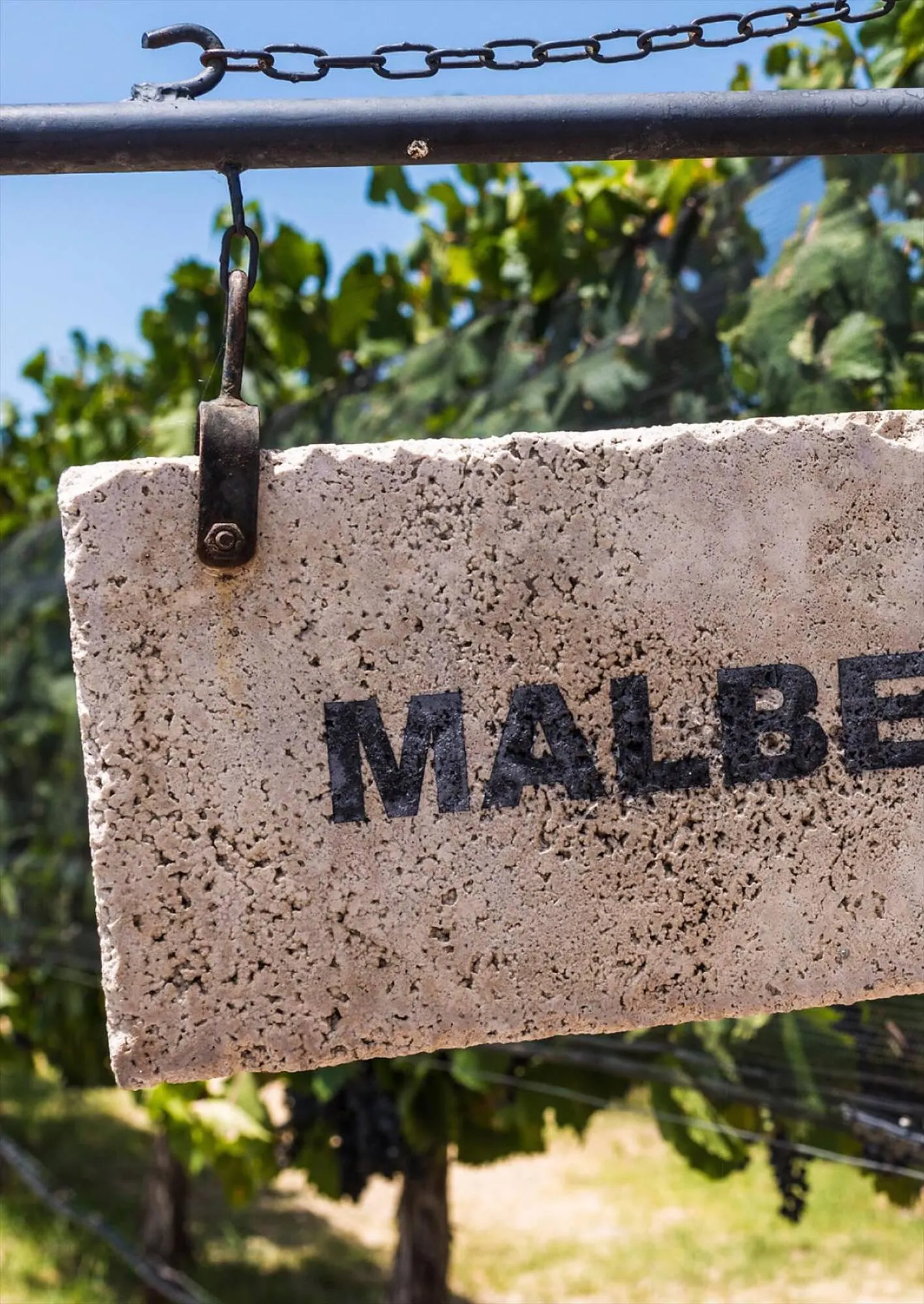 Ofertas de Catálogo Reino Cosmética 28 de julio al 31 de julio 2023 - Página 40 del catálogo