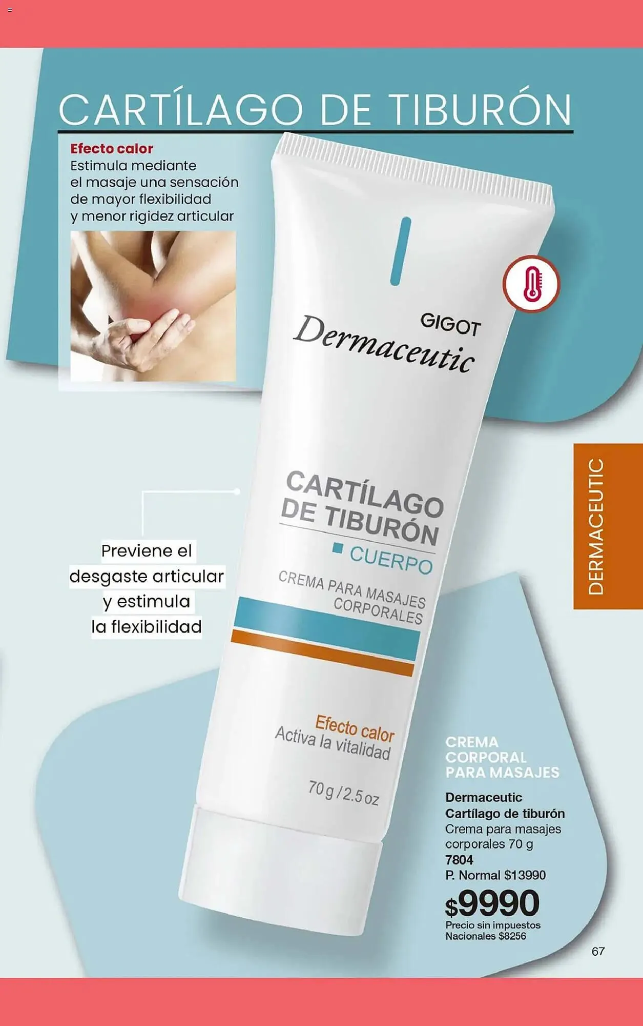 Ofertas de Folleto Gigot 5 de febrero al 28 de febrero 2026 - Página 79 del catálogo