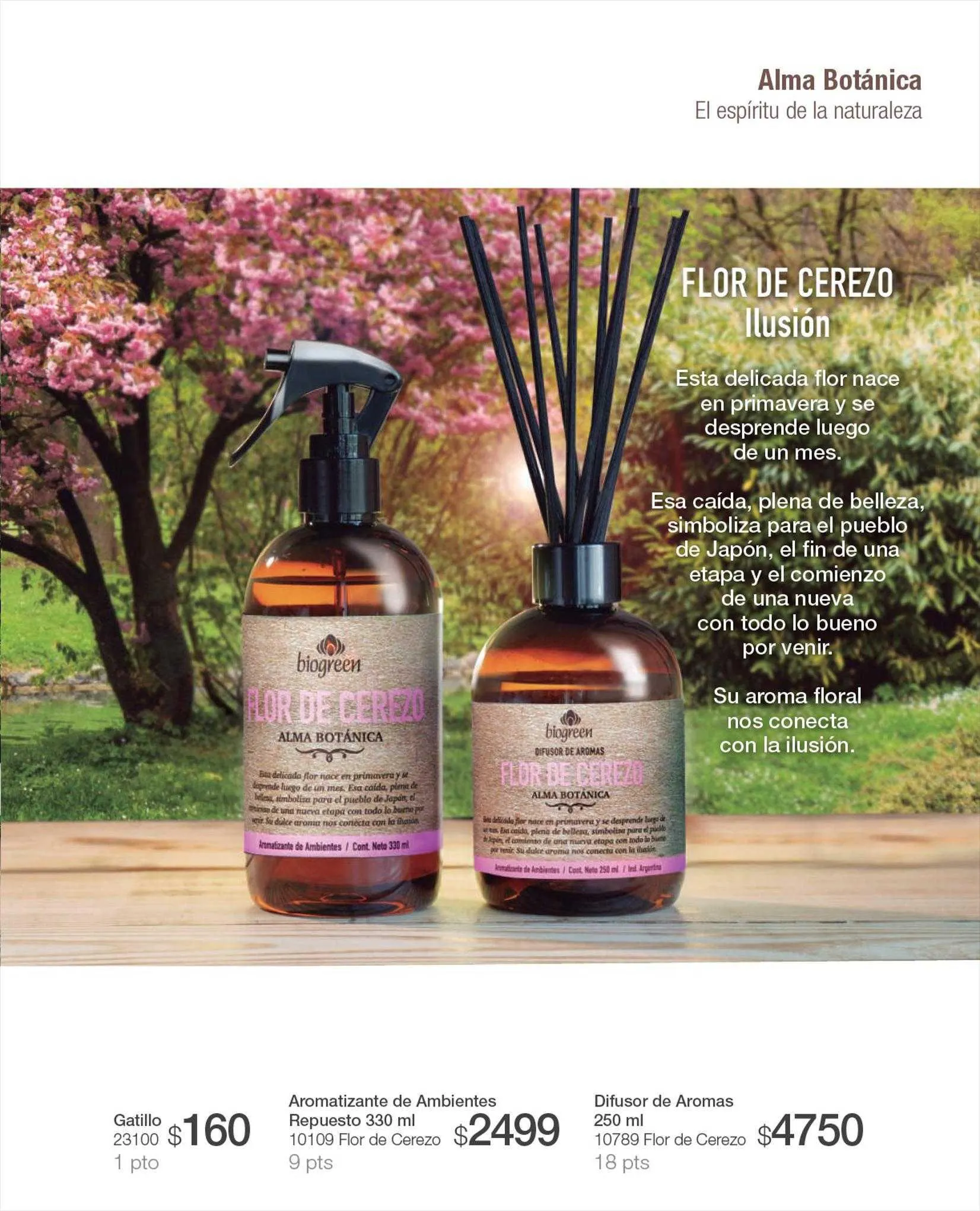 Ofertas de Catálogo Biogreen 17 de agosto al 31 de agosto 2023 - Página 41 del catálogo