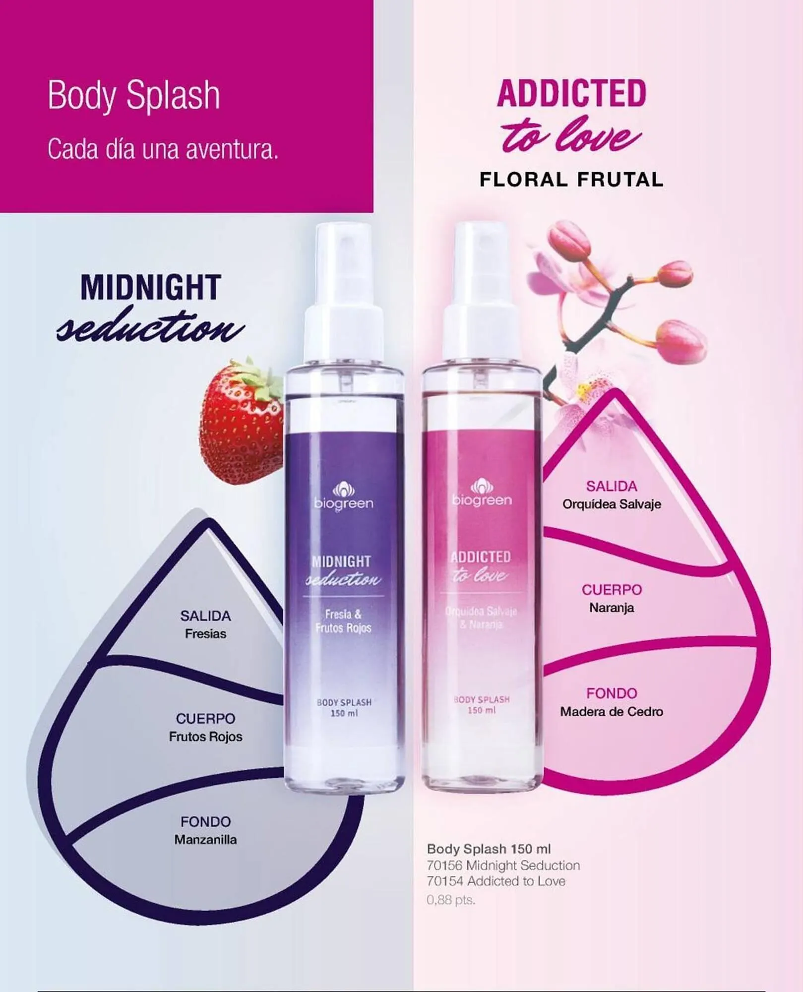 Ofertas de Catálogo Biogreen 16 de febrero al 1 de marzo 2026 - Página 84 del catálogo