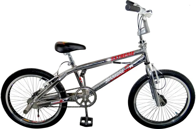 Bicicleta Rodado 20 Freestyle Color Cromado 10195 - SIAMBRETTA