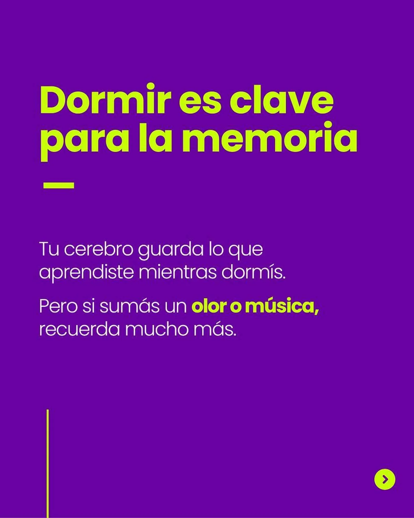 Ofertas de Catálogo Sommier Center 22 de julio al 24 de julio 2025 - Página 3 del catálogo