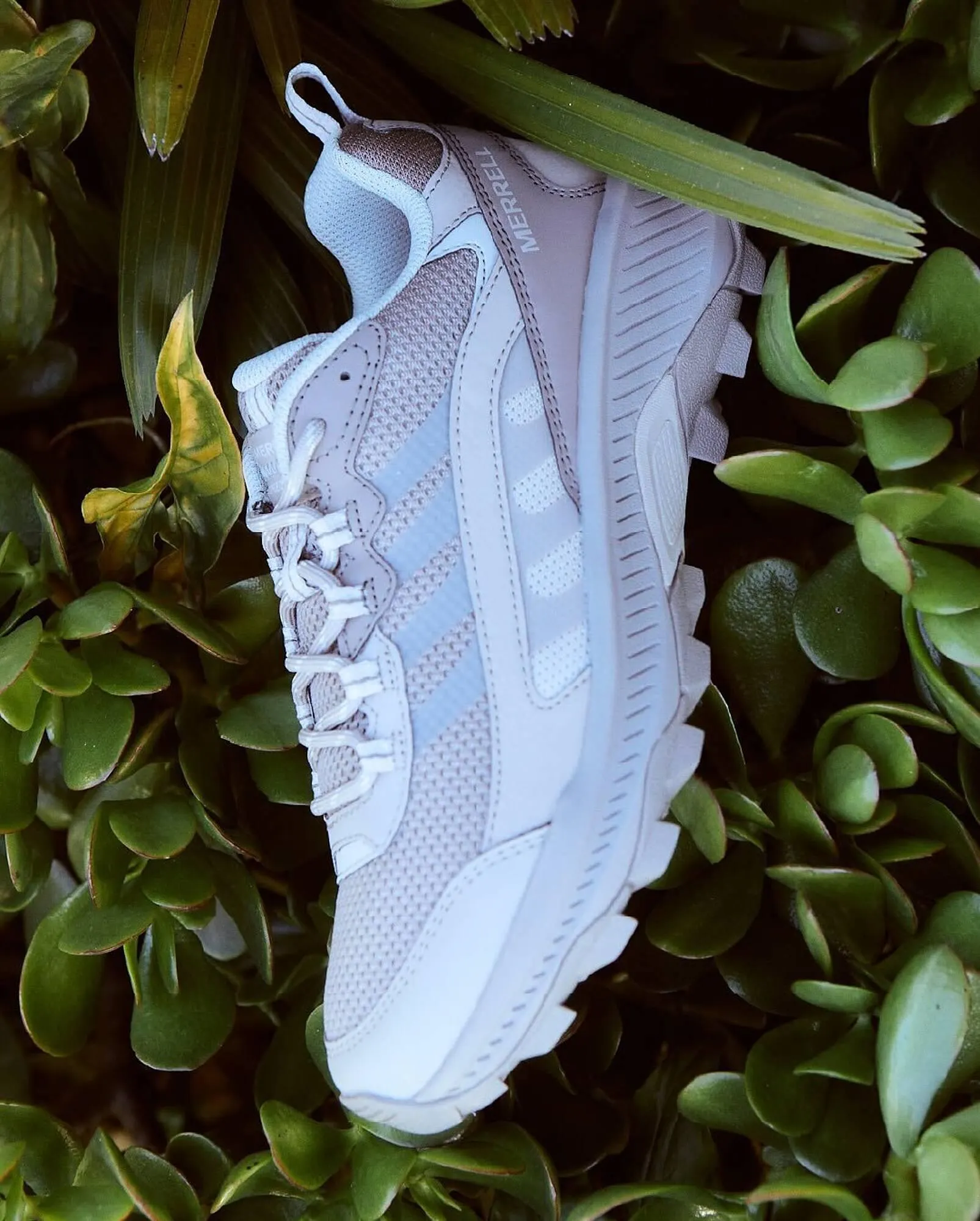 Ofertas de Catálogo Grimoldi 24 de agosto al 30 de agosto 2025 - Página 3 del catálogo